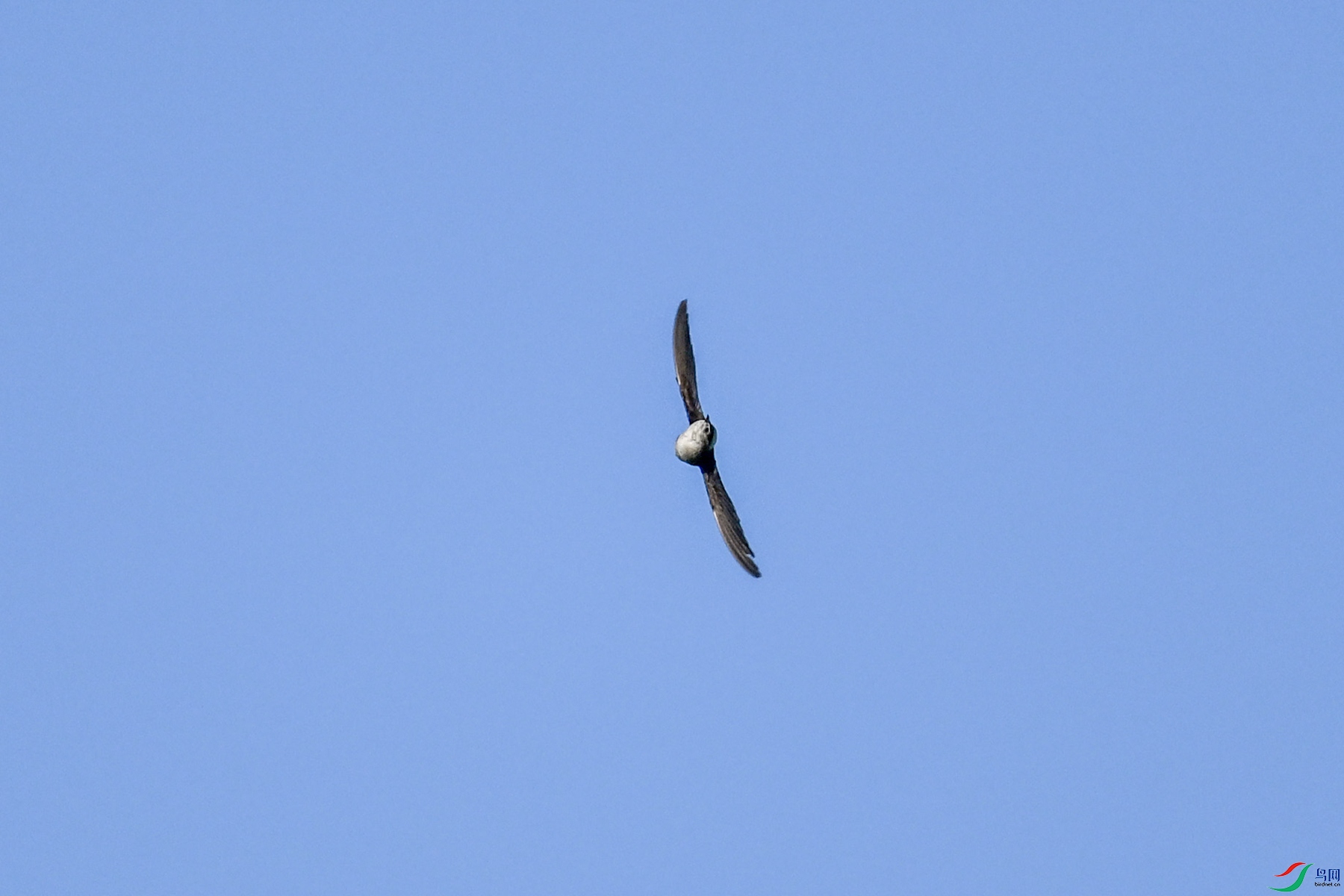 DSC_6137.JPG