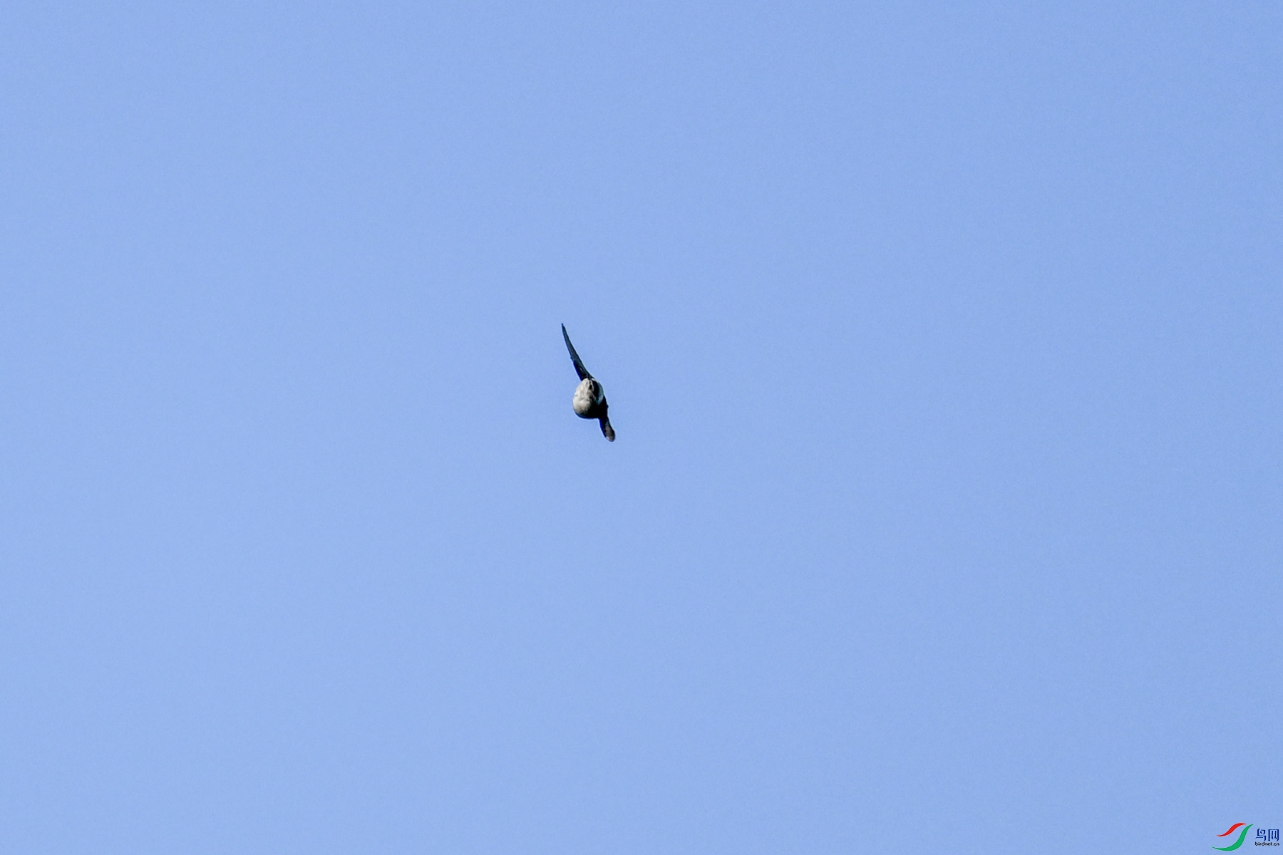 DSC_6138.JPG