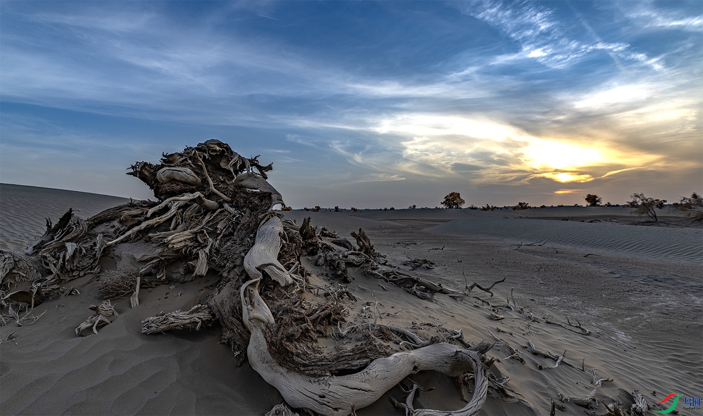 _DSC9337-HDR ����.jpg