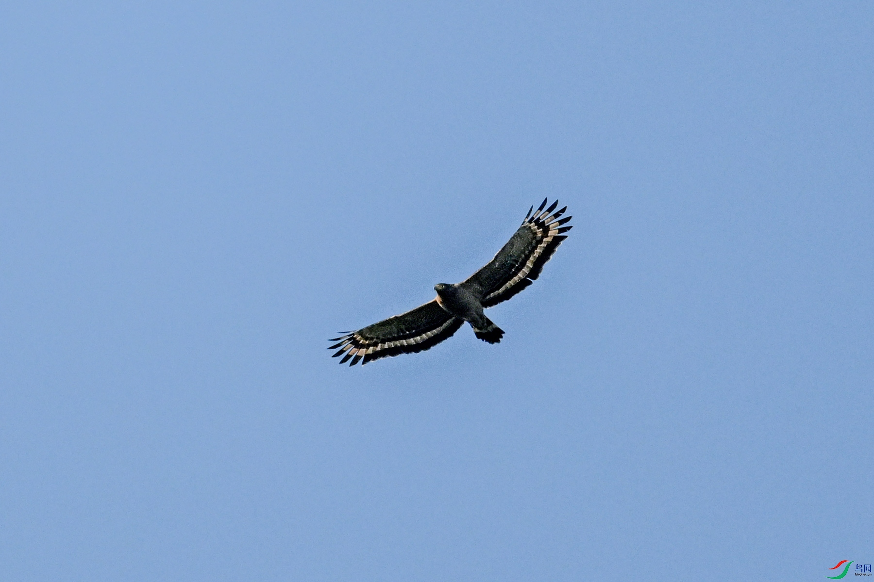 DSC_6178.JPG