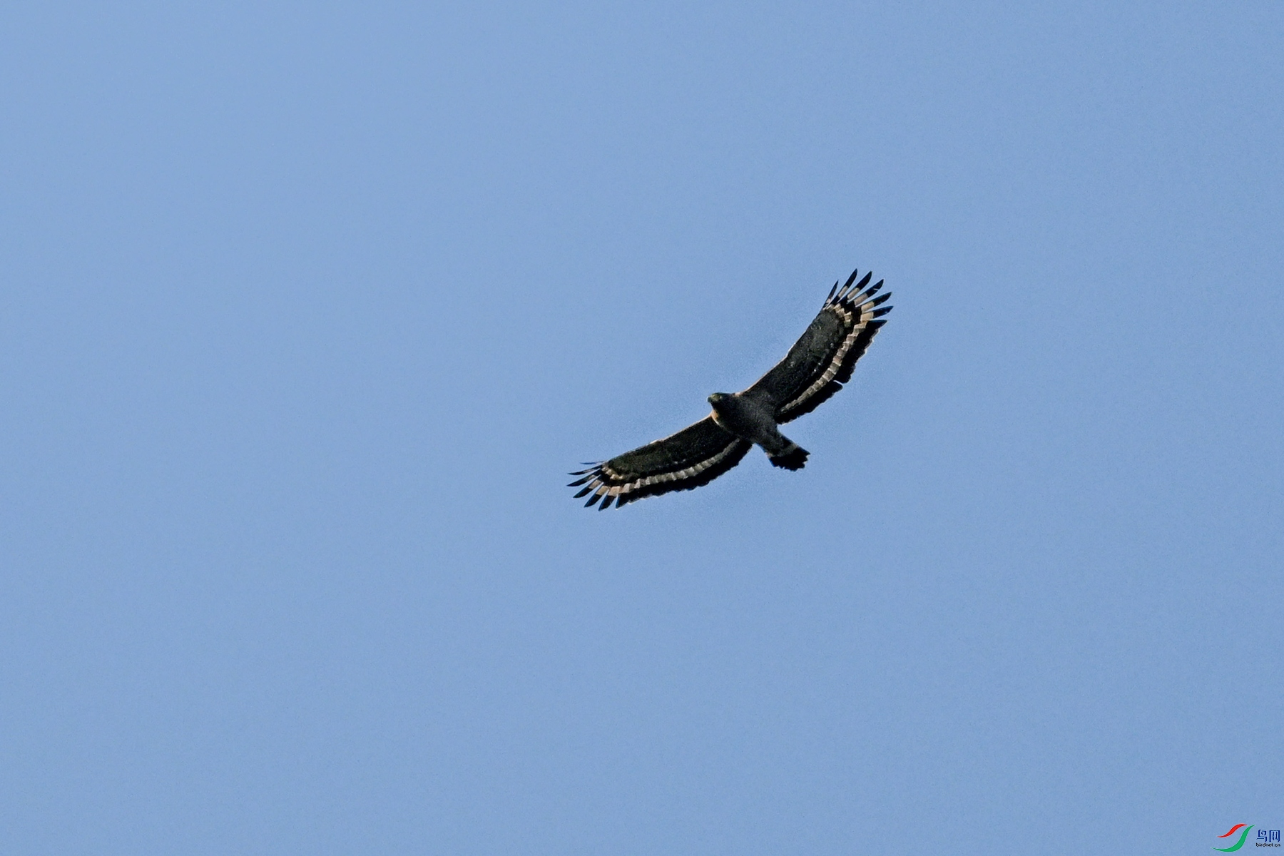 DSC_6180.JPG