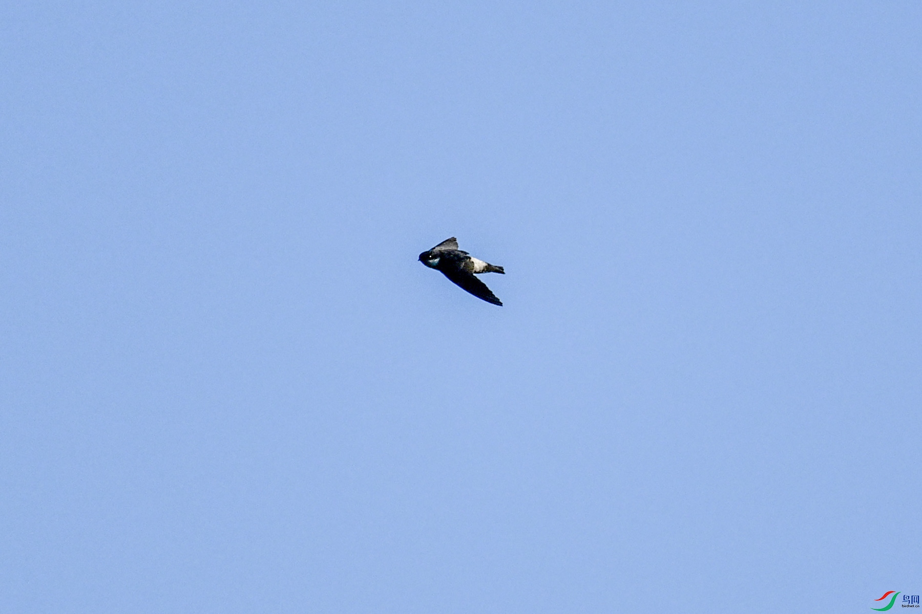 DSC_6152.JPG