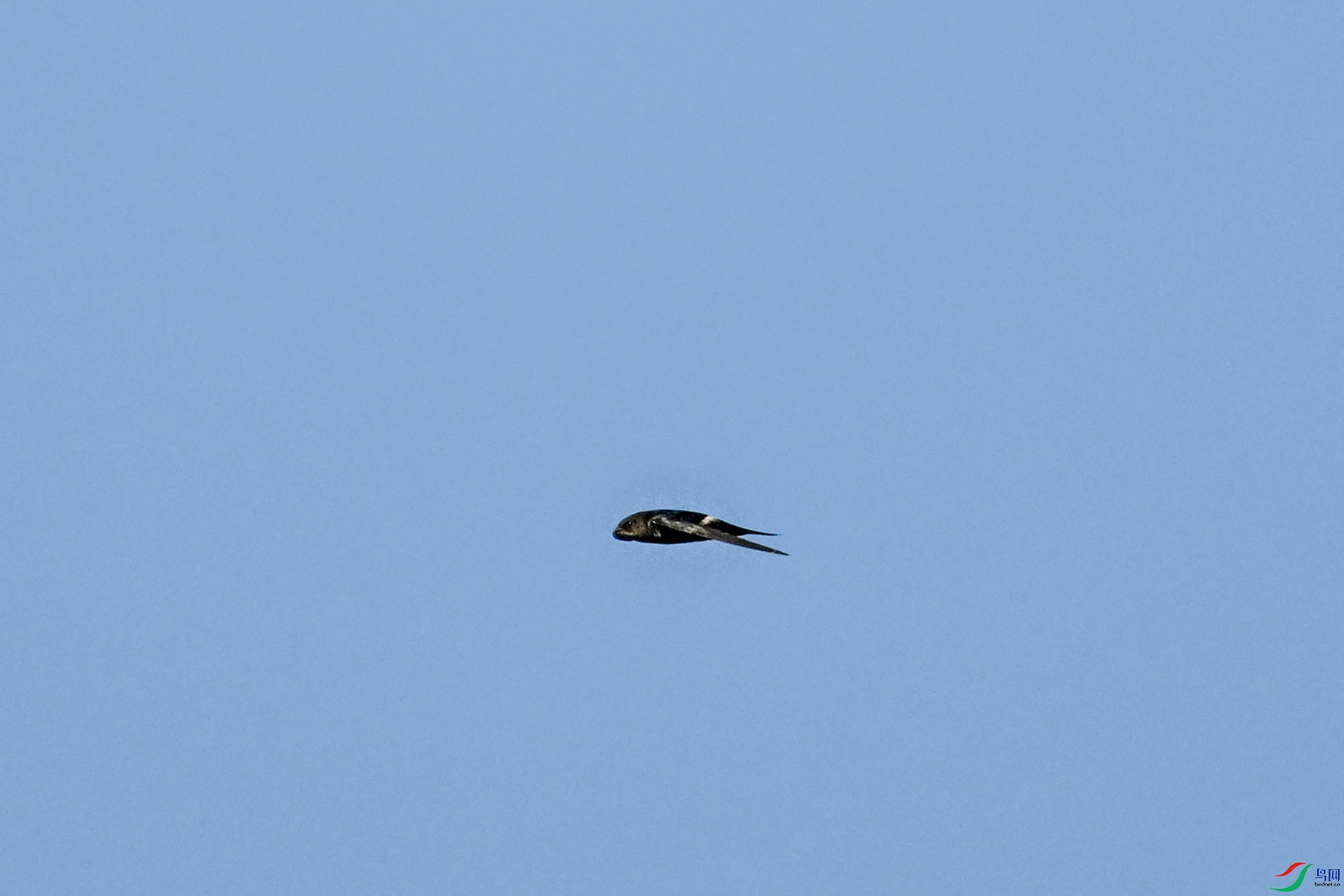 DSC_6158.JPG
