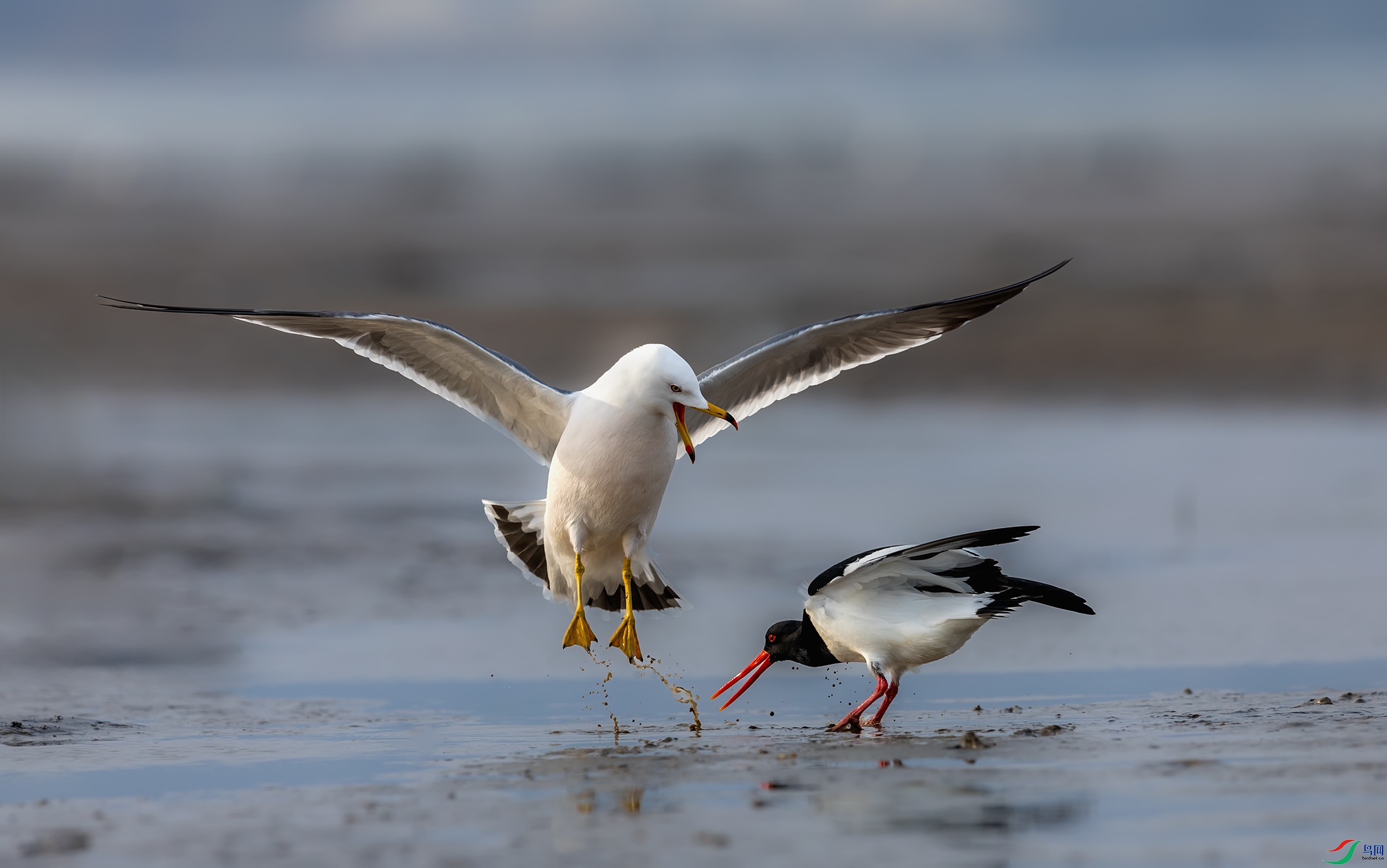 ��βŸ������