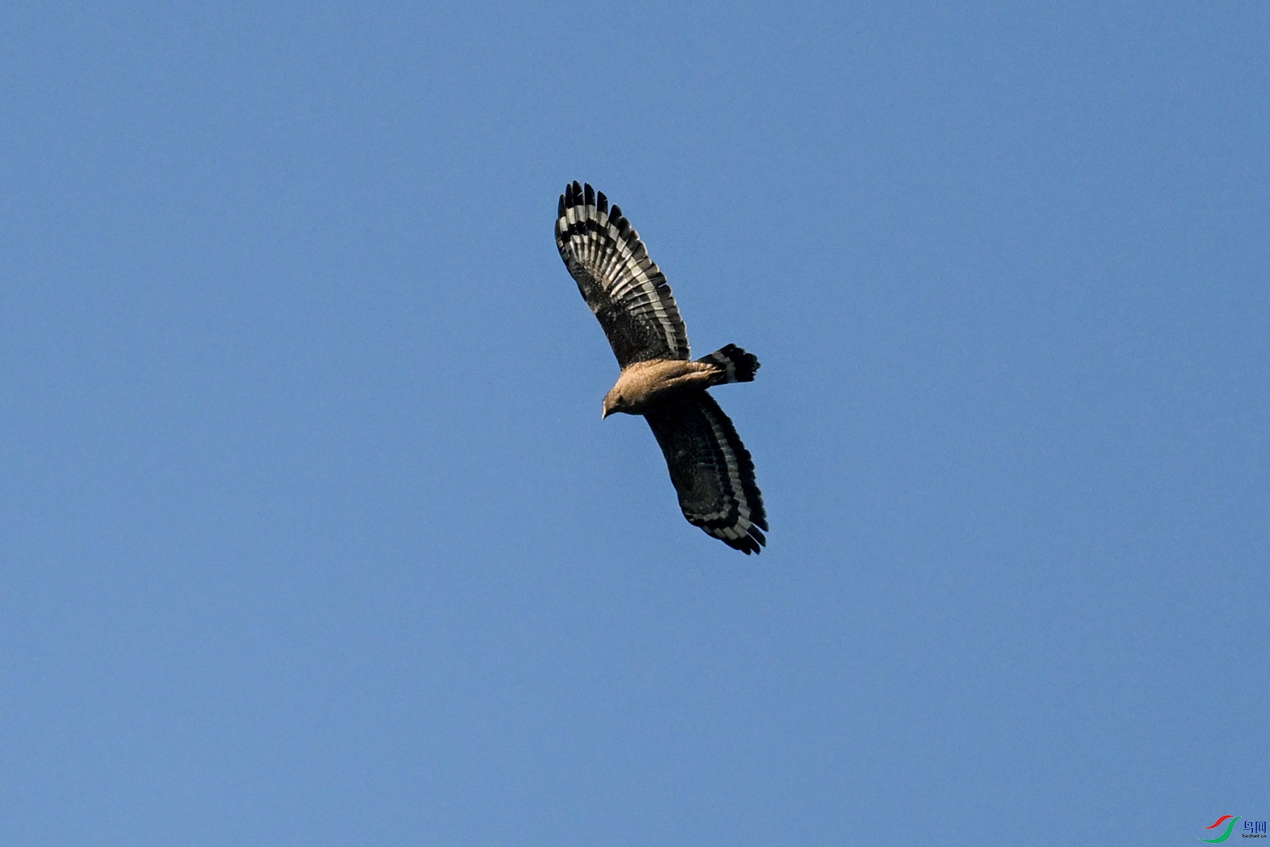 DSC_6188.JPG
