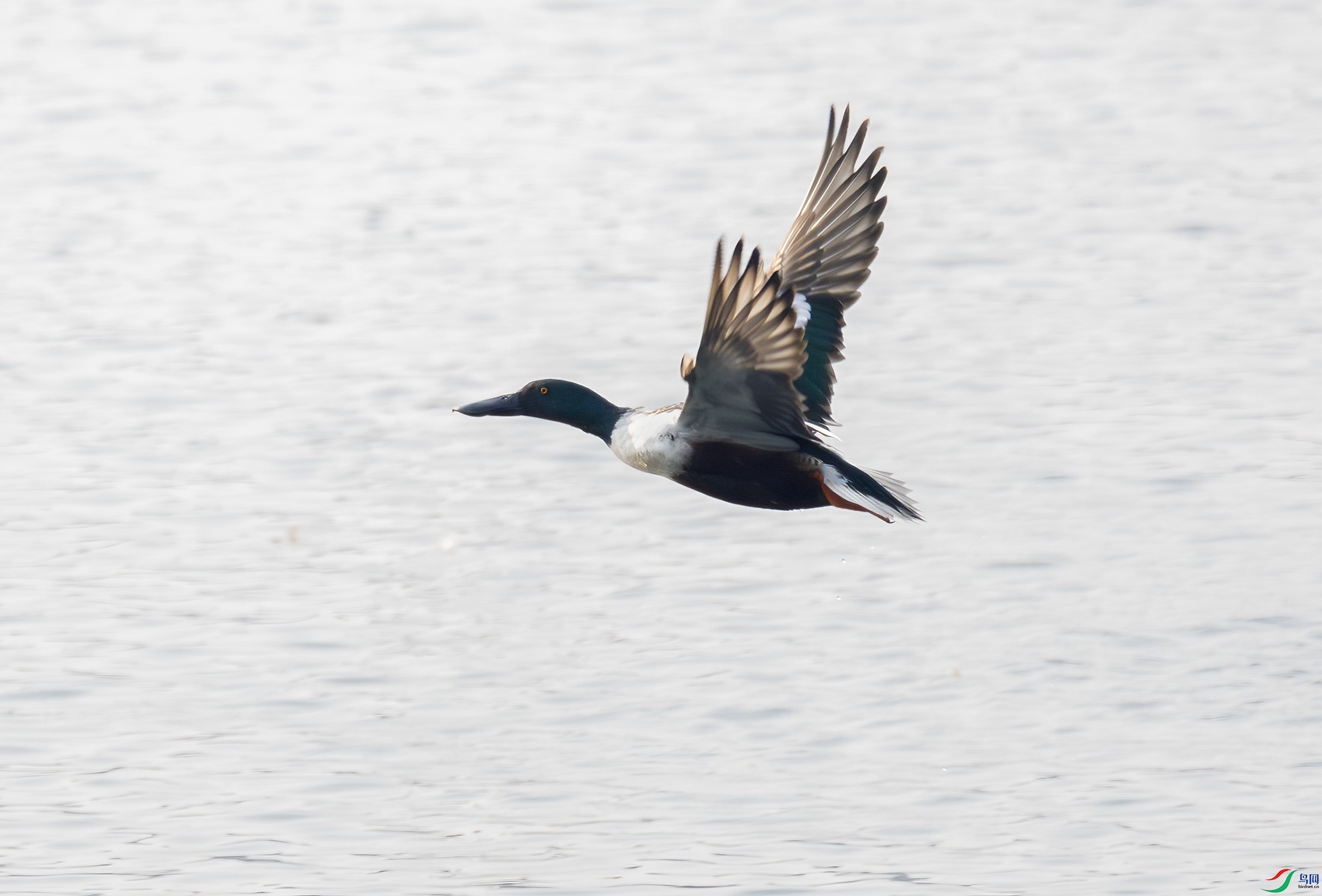 G47A4362-����ǿ-NR-1 ����.jpg