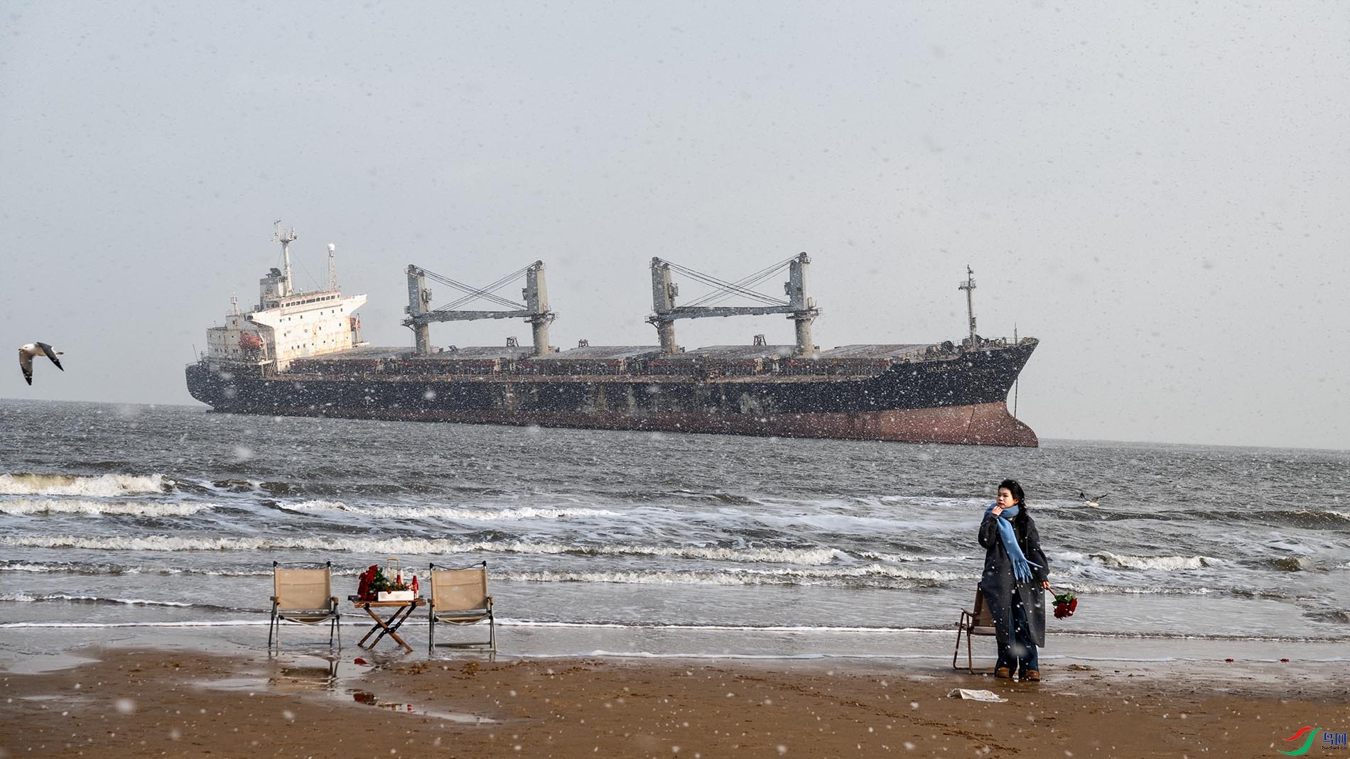 ��³˹ѩ����һ���Ķ�