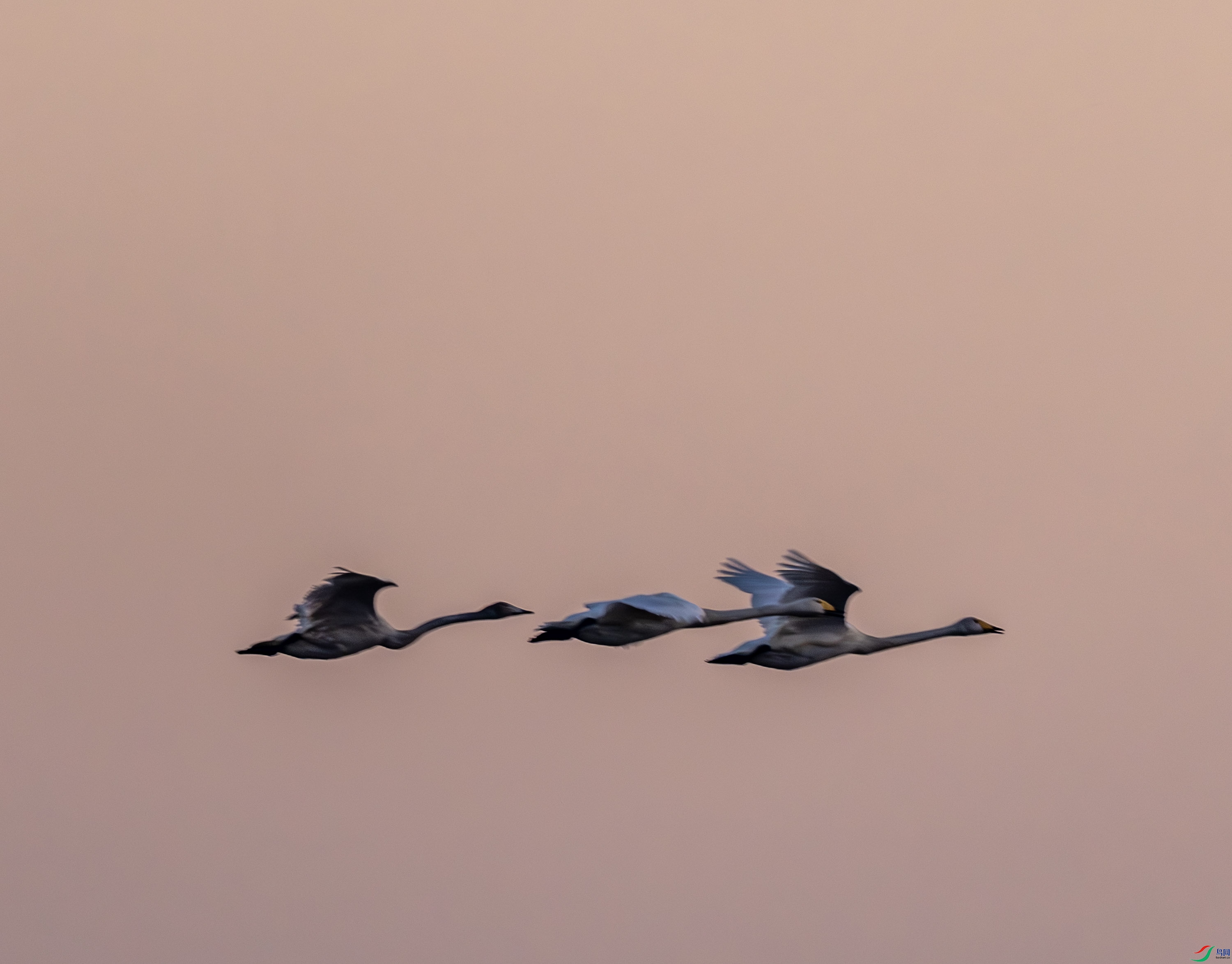 �����-01-6.jpg