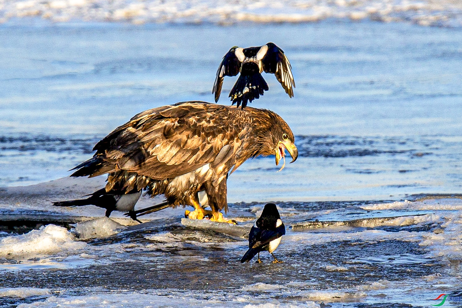 _MG_0268 ���� 2.jpg