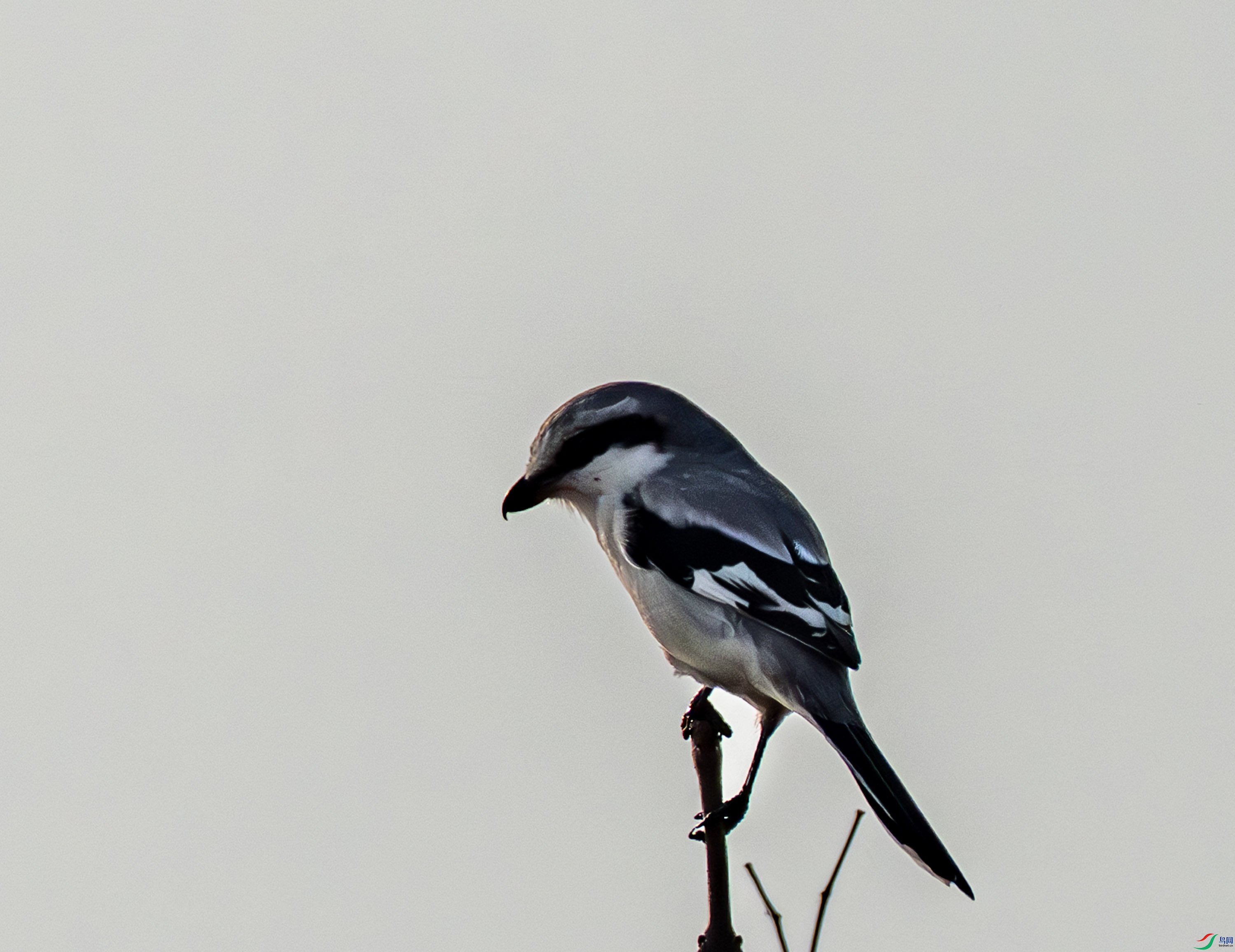 ��β����-01-7.jpg