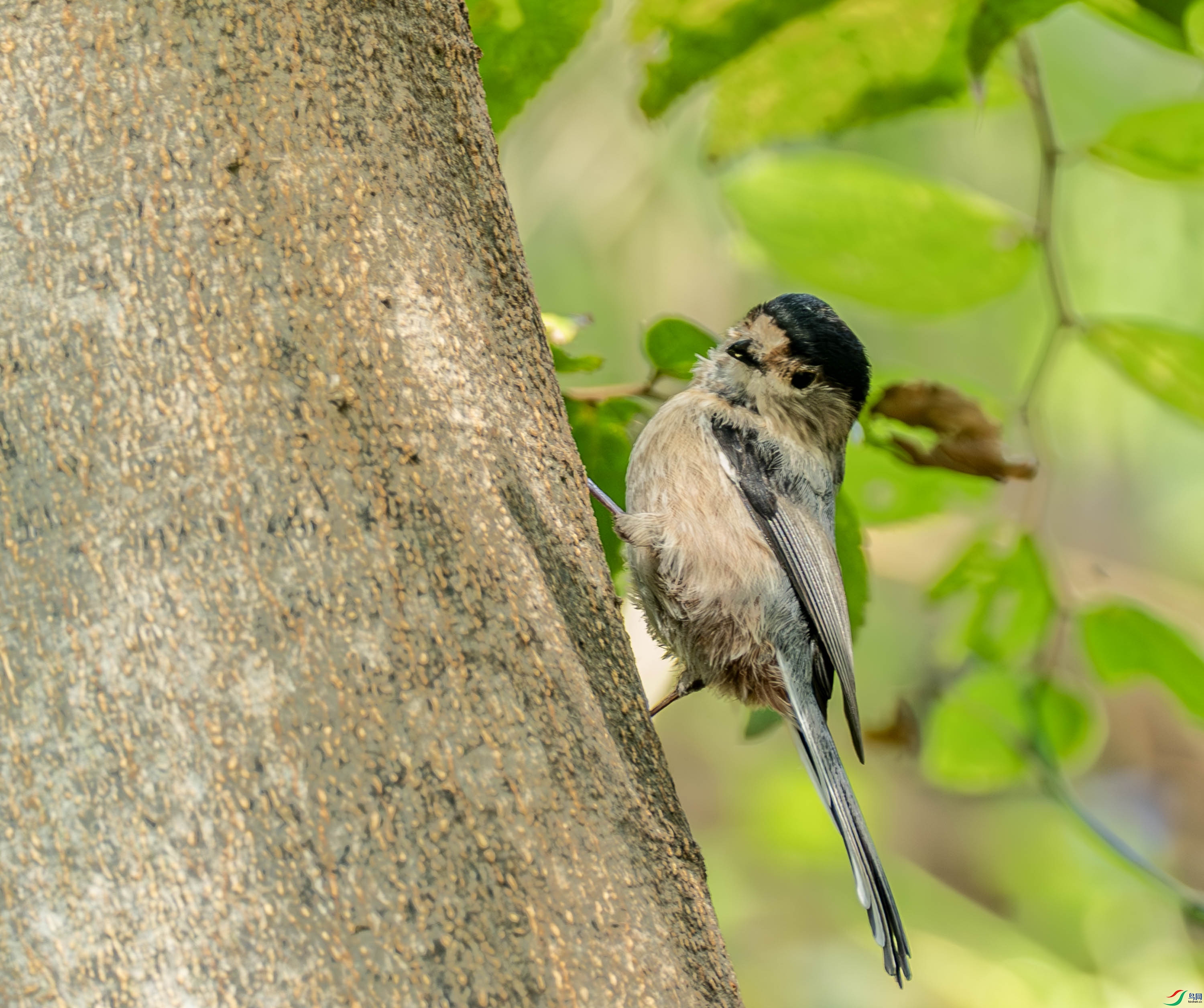 ������βɽȸ -1-26.jpg