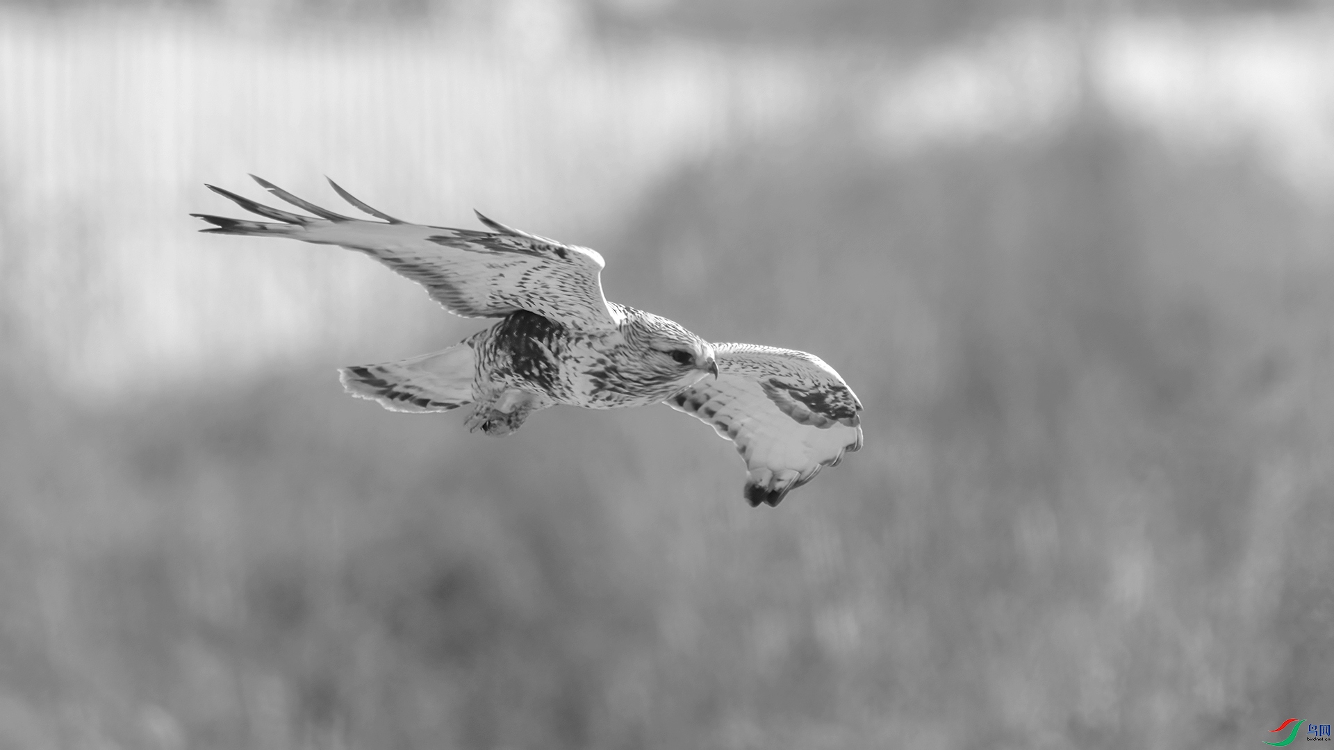 _DSC7490 ����.jpg