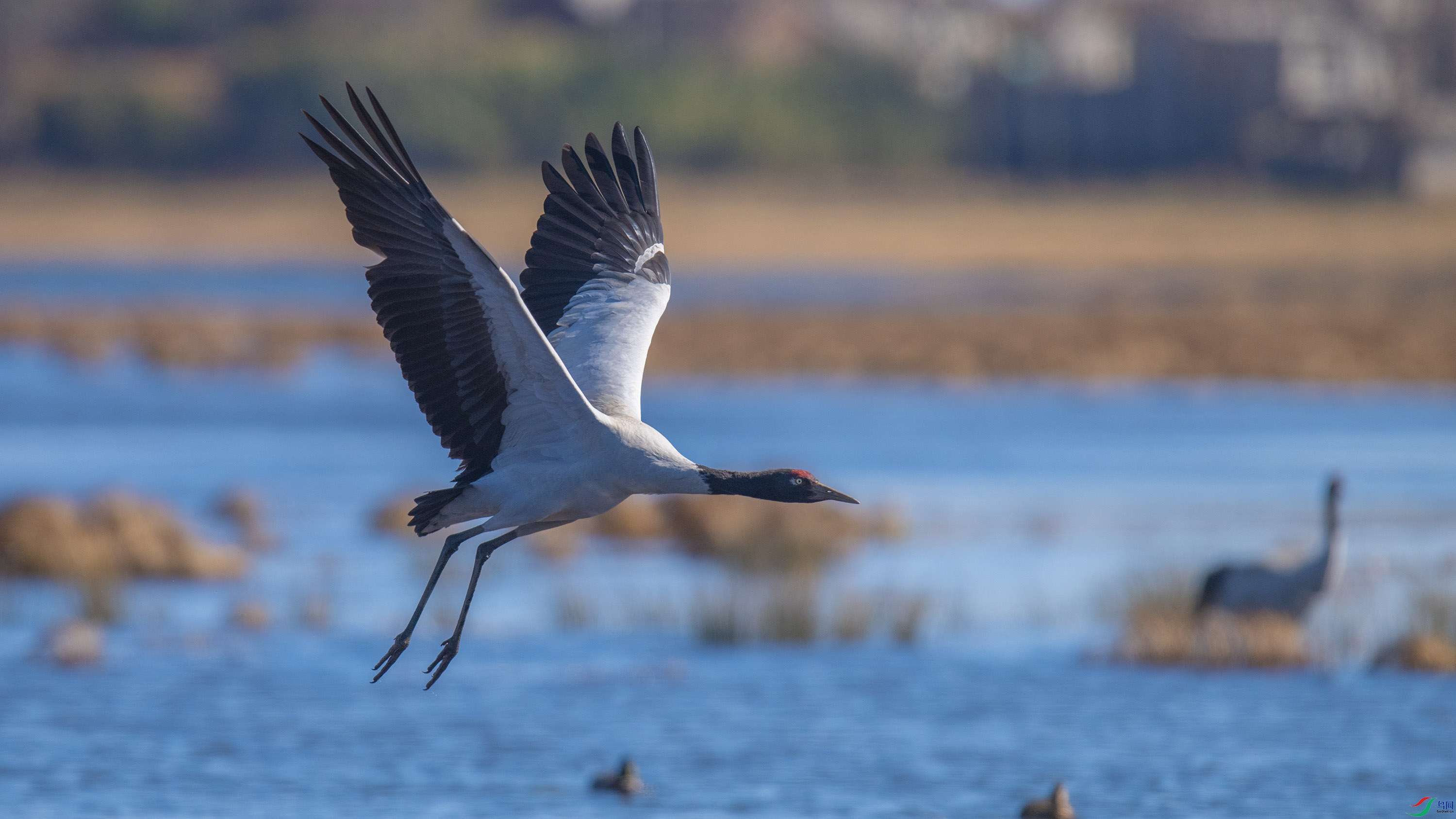 �ھ��� (18).jpg