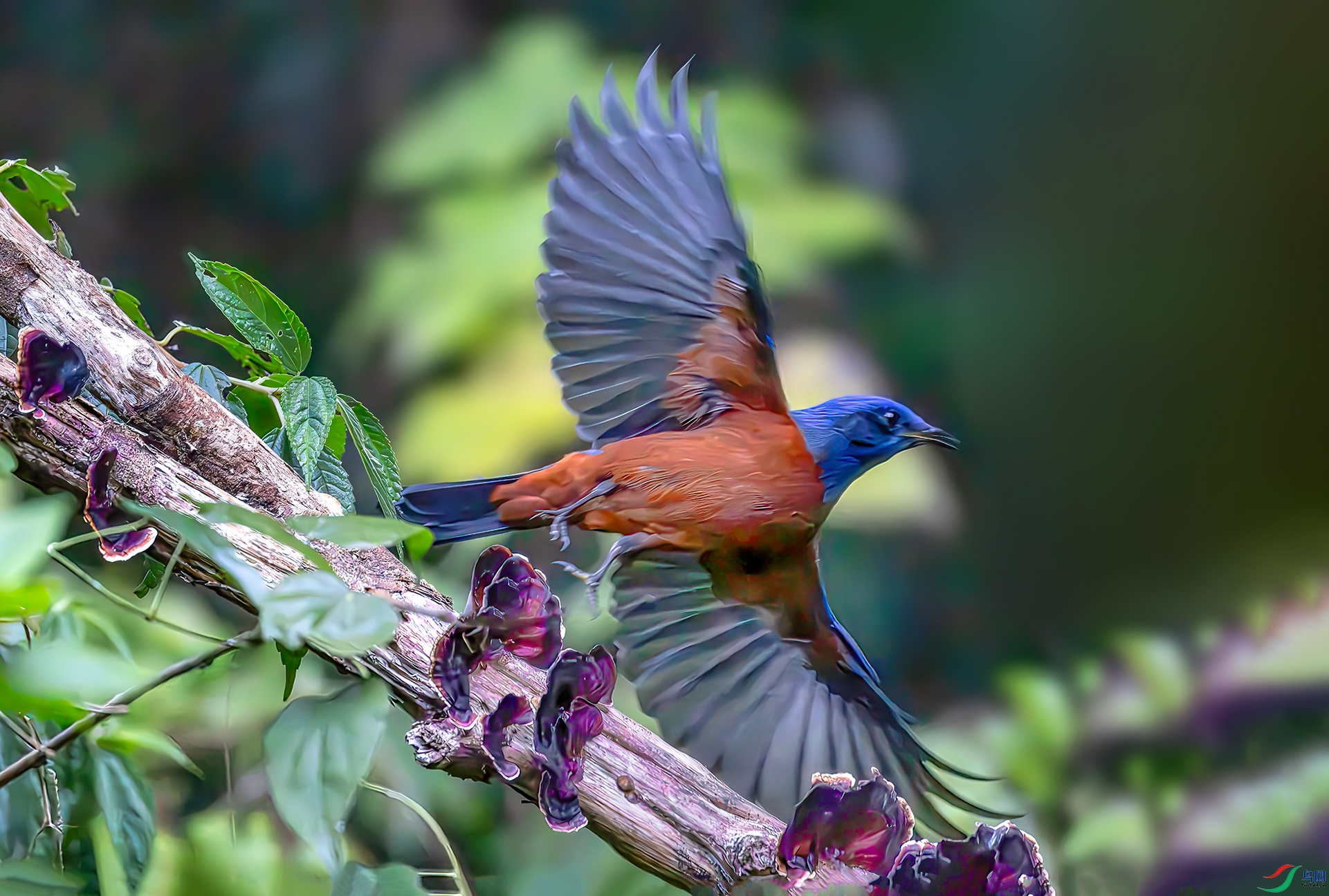 407A7924----33  .jpg