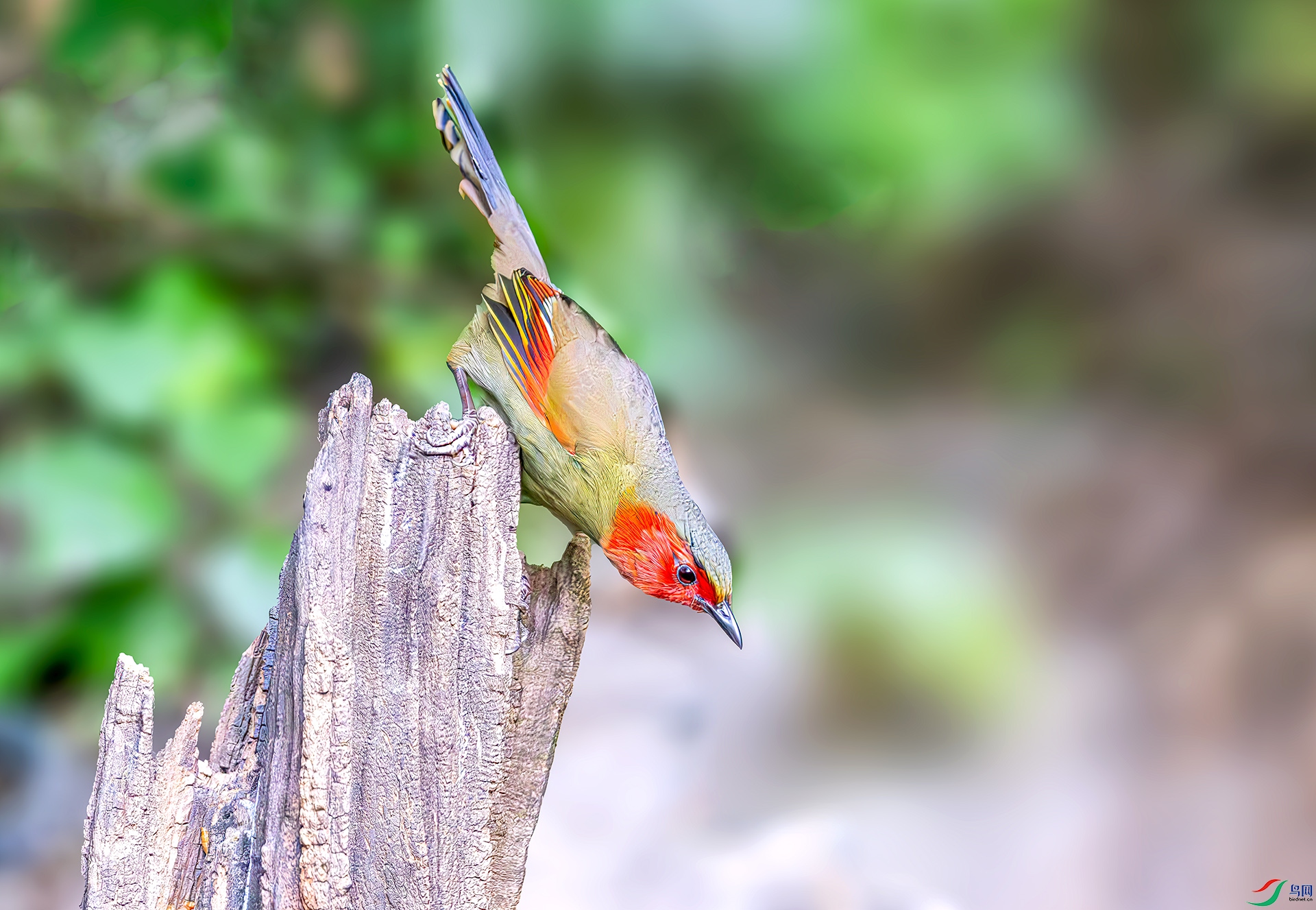 ���޴��407A0729-----33  .jpg