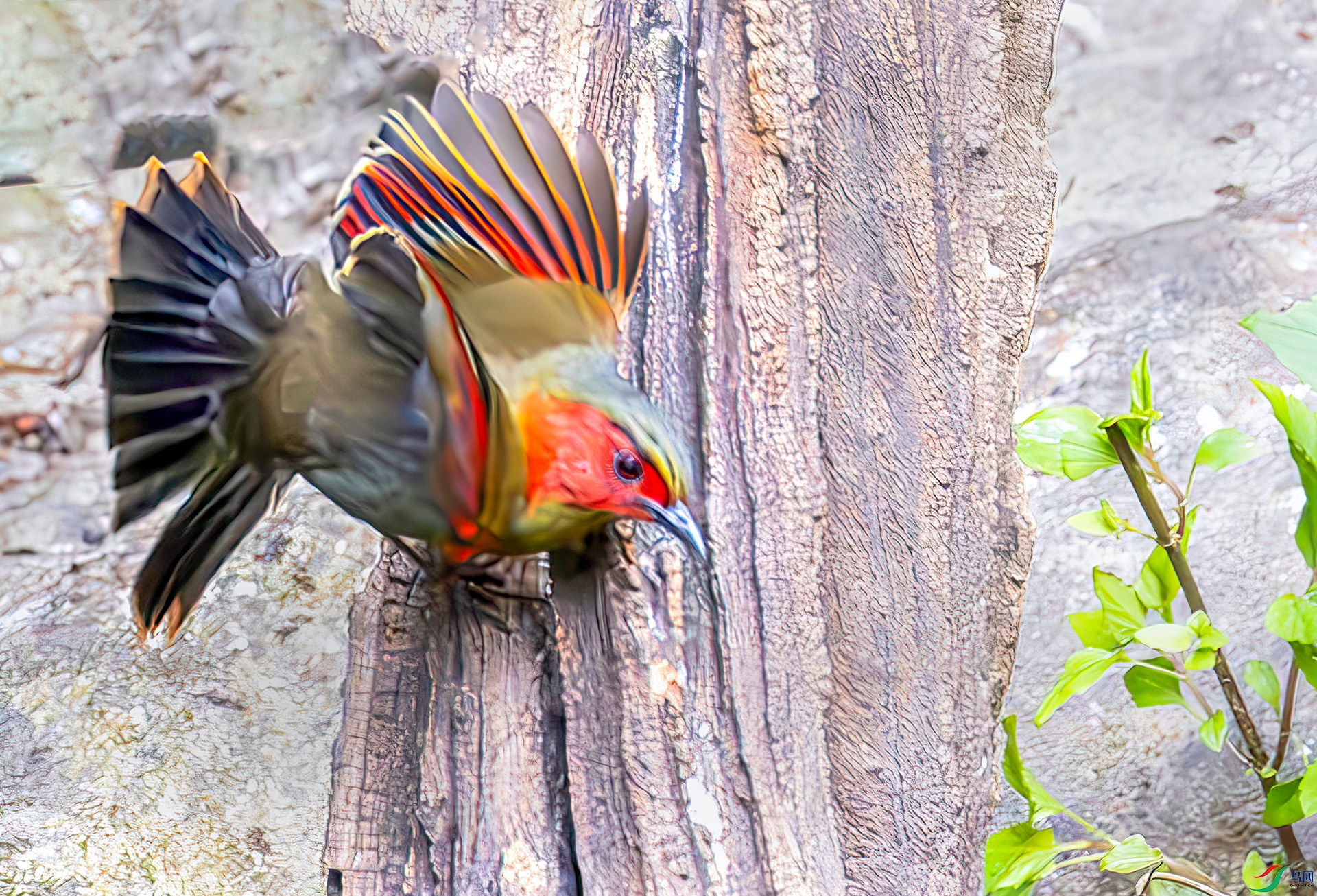 407A1172-----33  .jpg