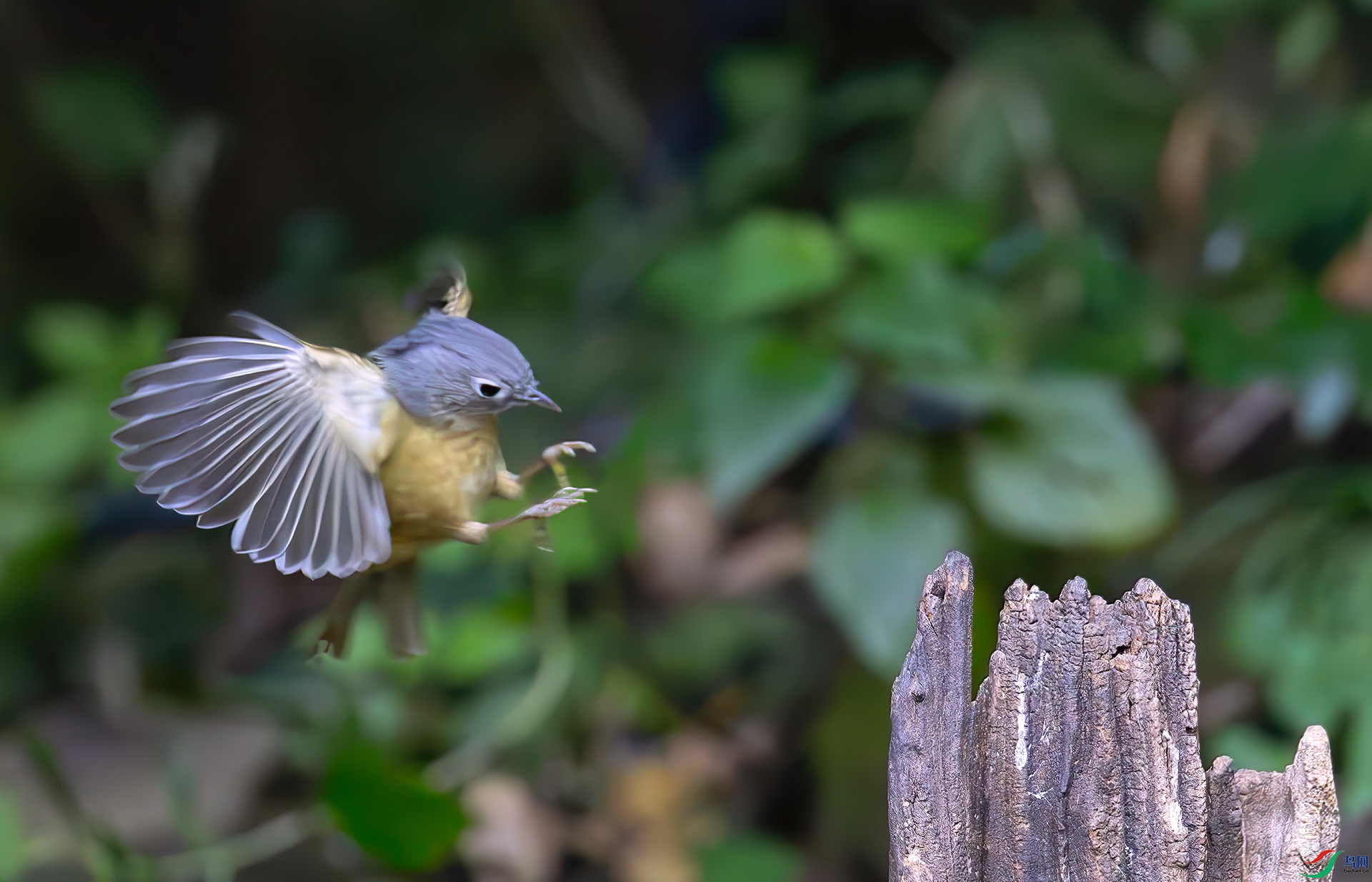 407A1860-----33  .jpg