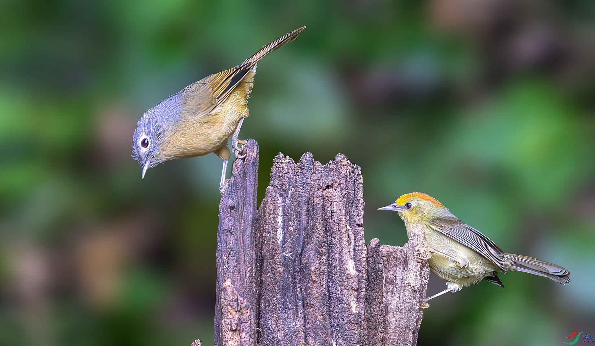 407A2264-----33  .jpg