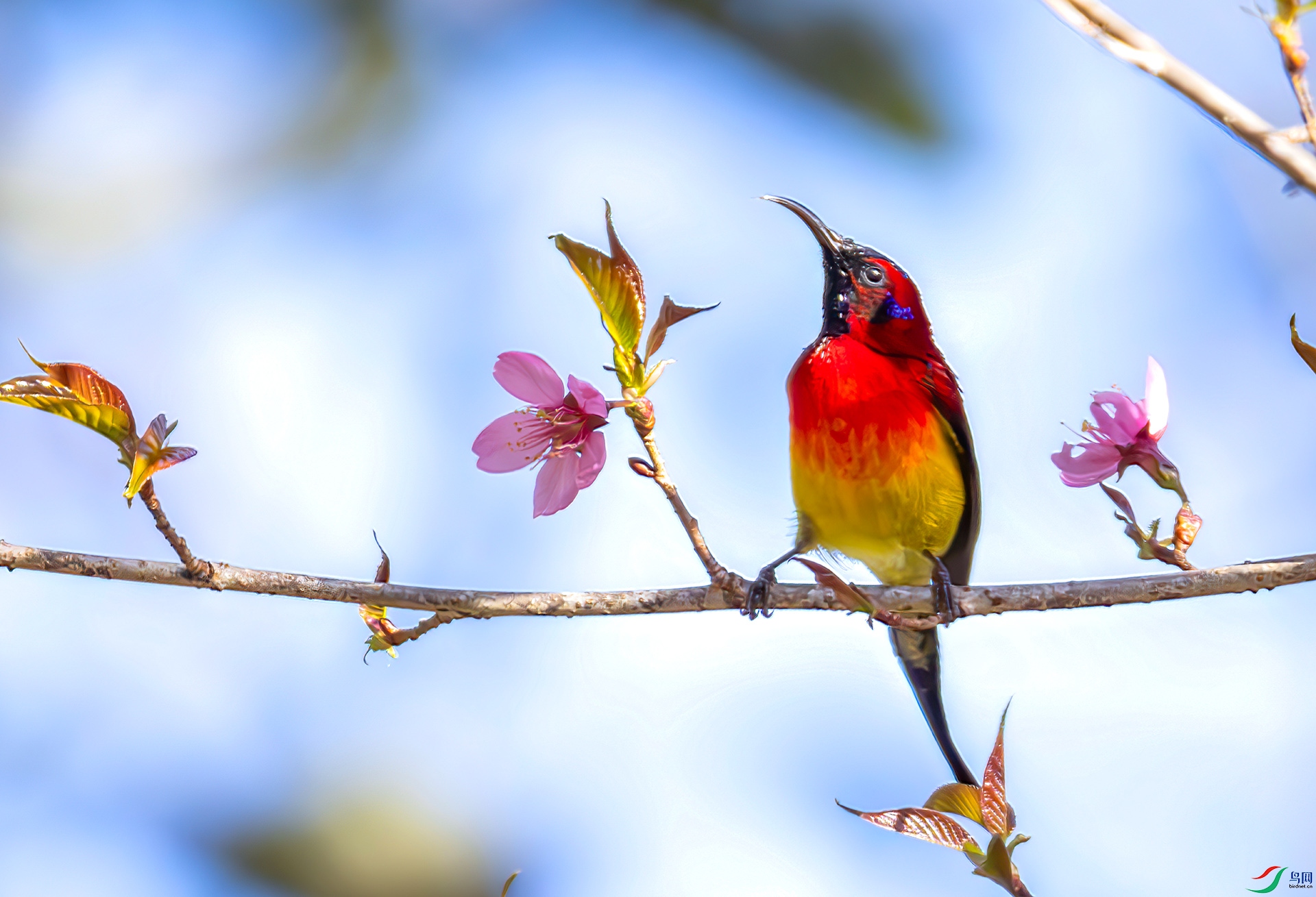 407A3933-----33.  .jpg