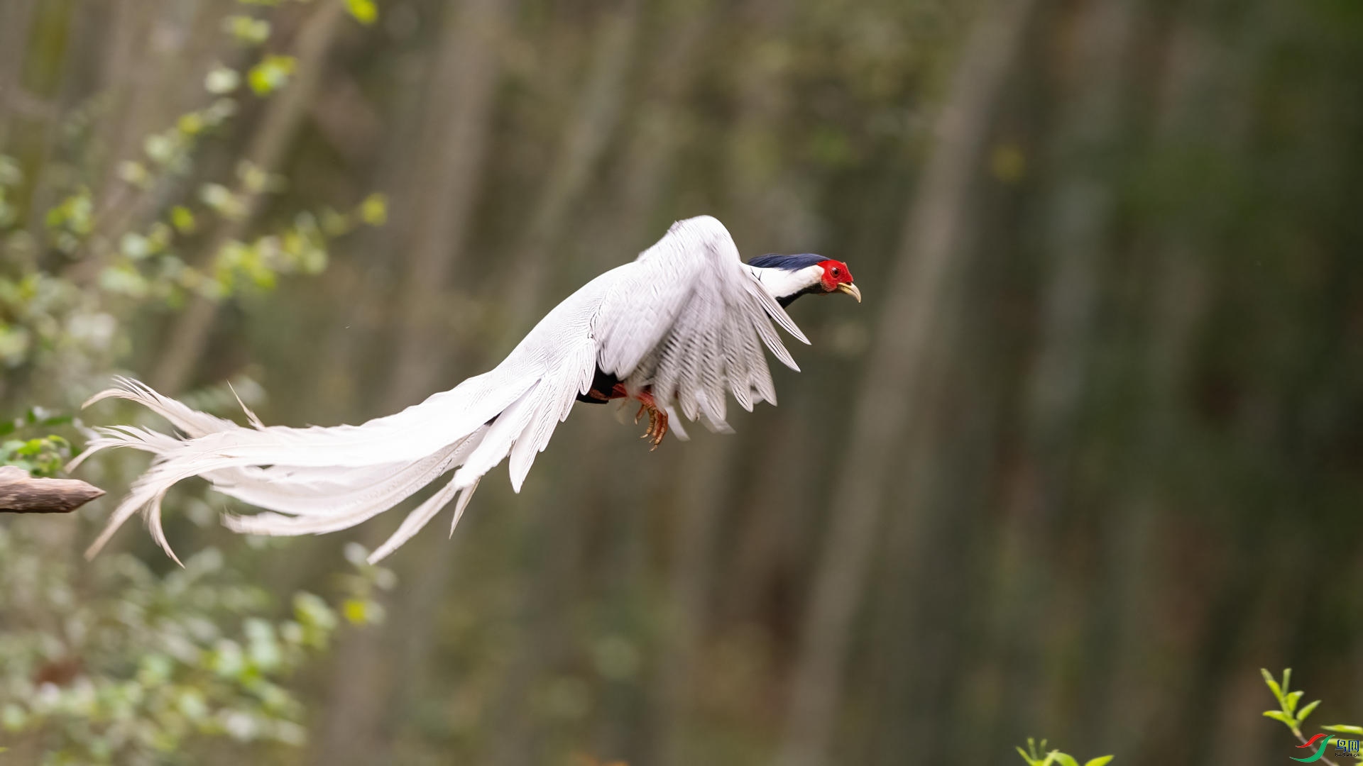 _DSC0505 ����.jpg