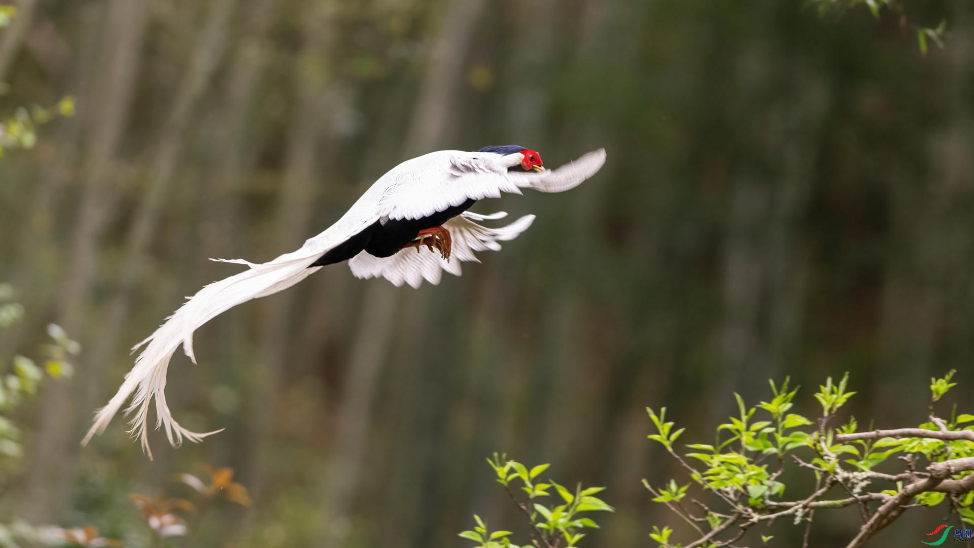 _DSC0507 ����.jpg