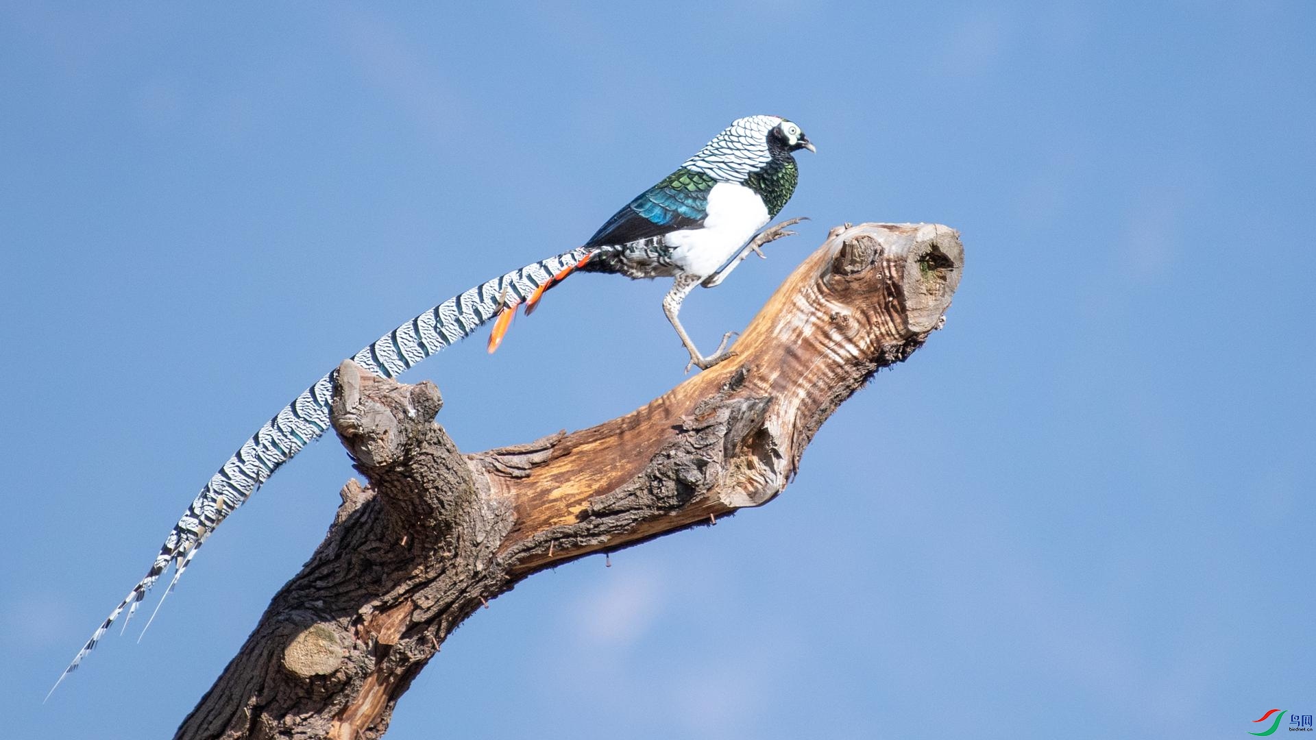 WGB_2404 ����.jpg