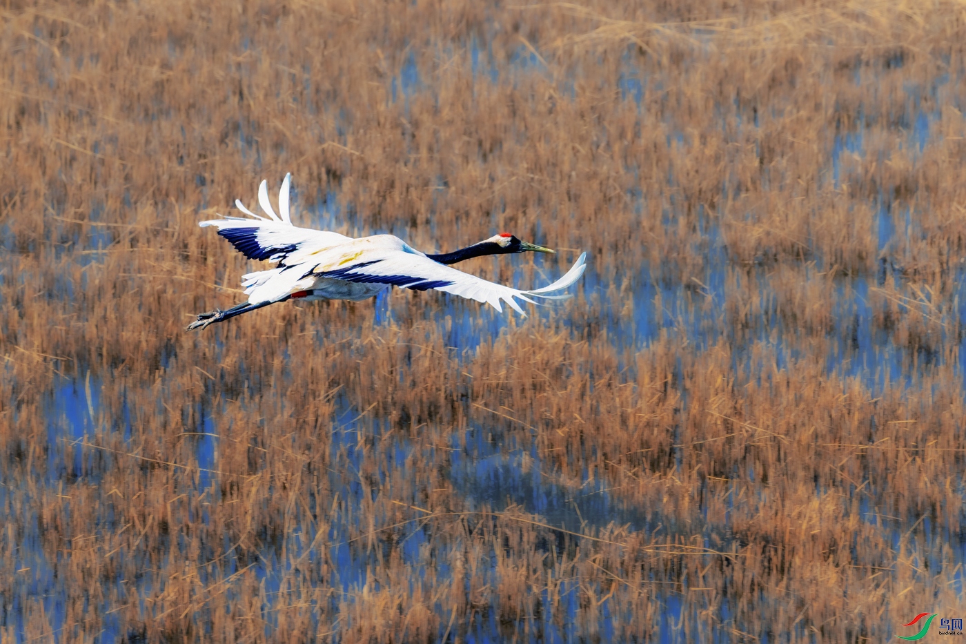 ������----����«͡