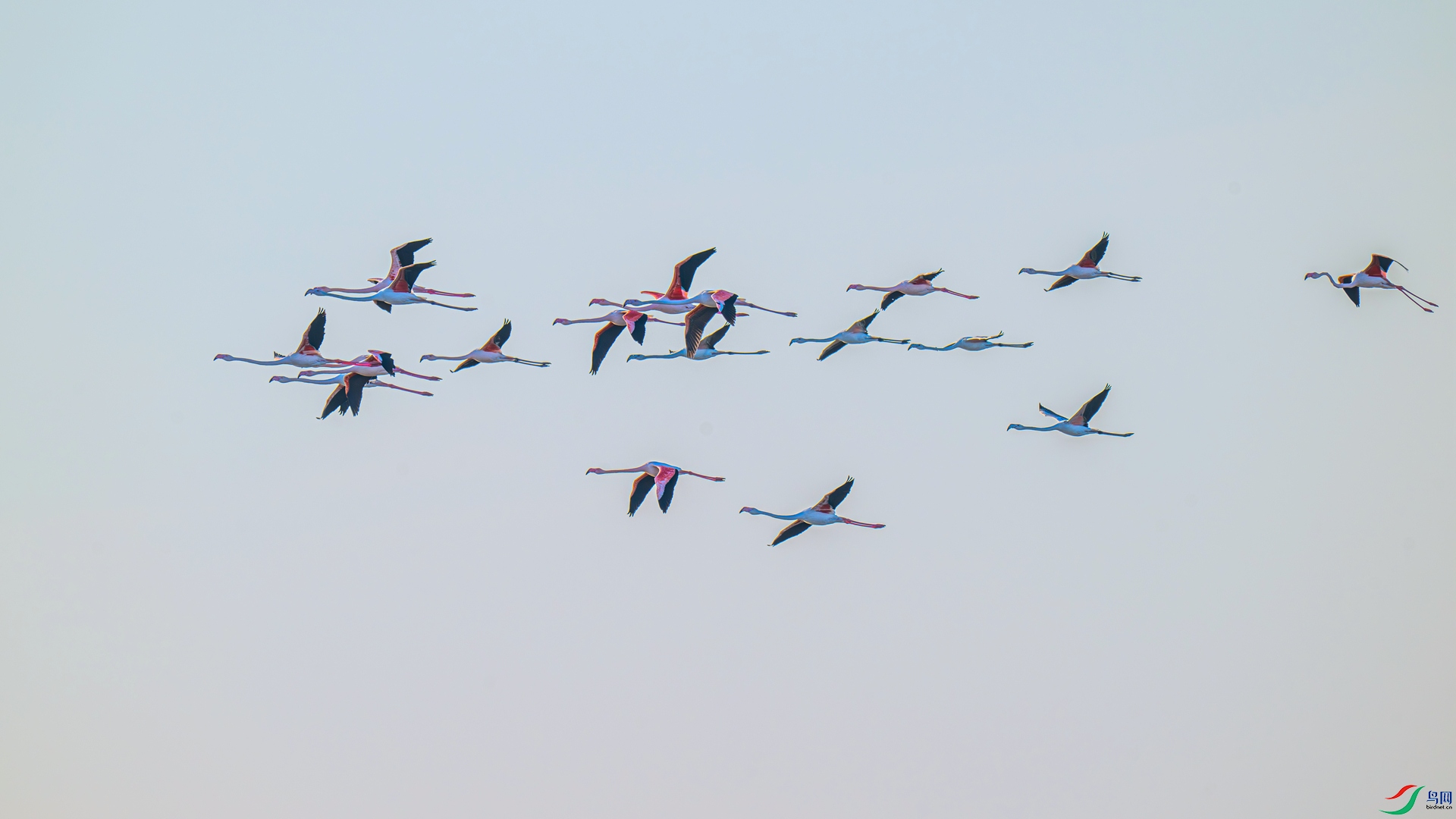 DSC_1912 ����_����.jpg