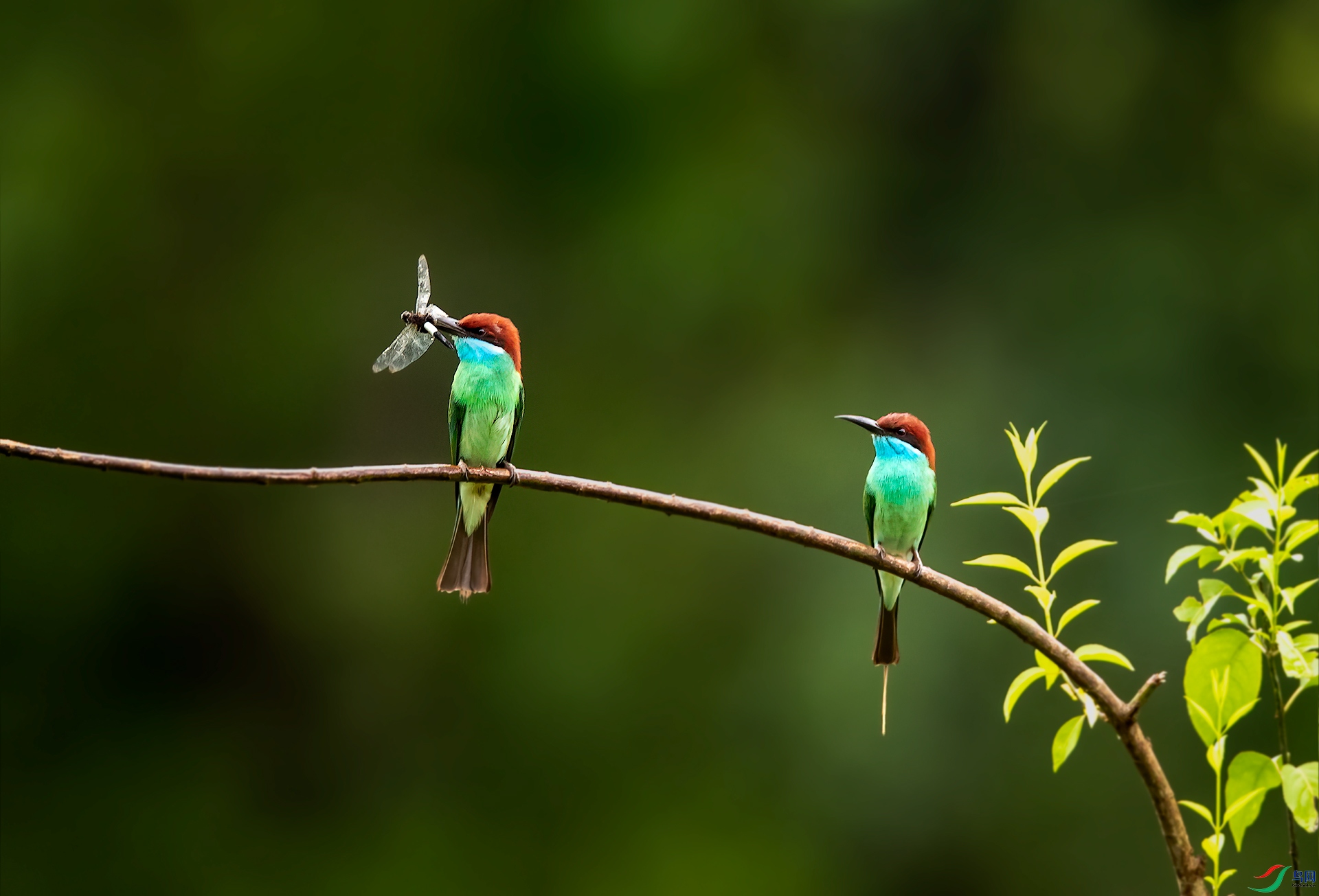 A11I5557-����.jpg