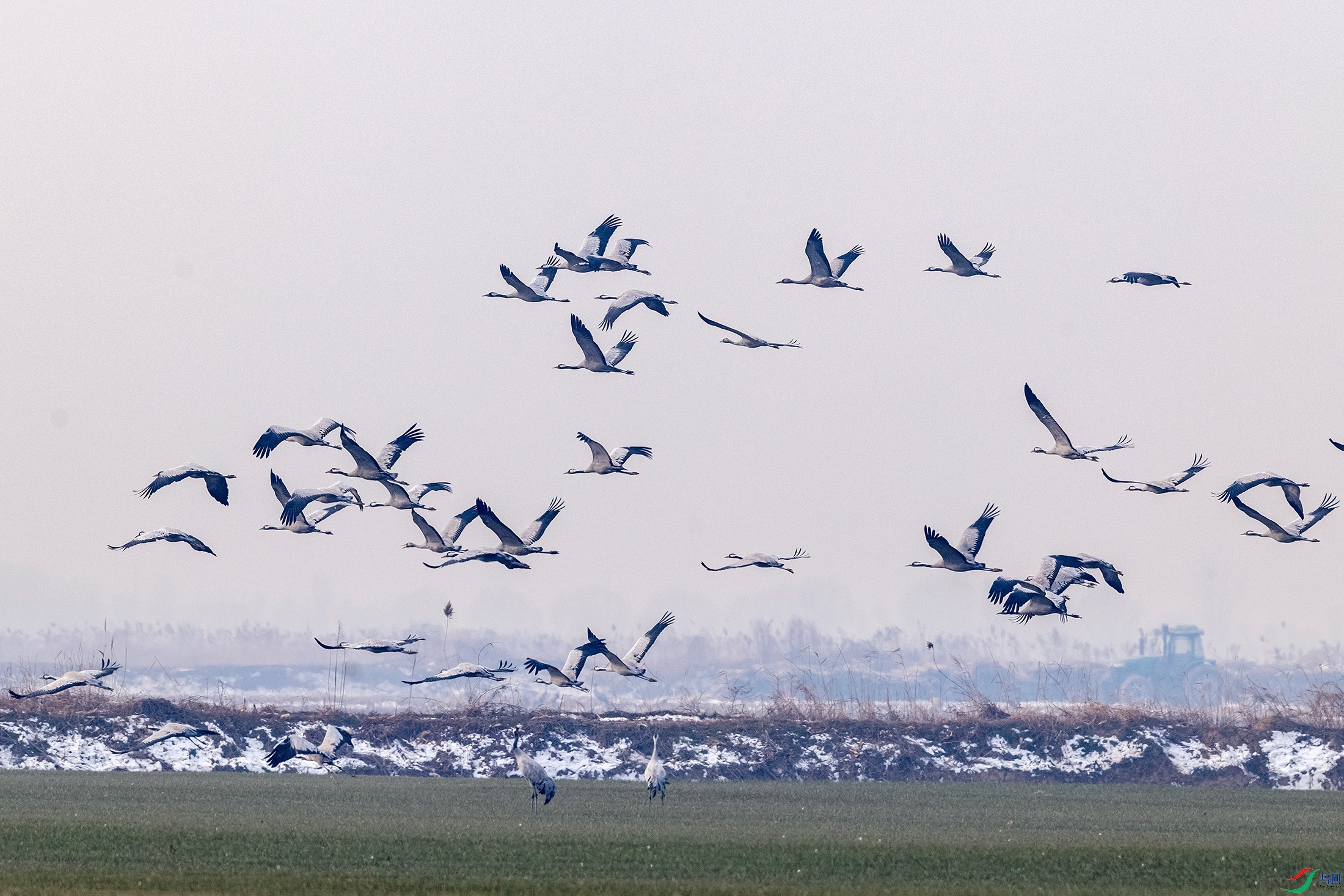 IMG_9898 ����.jpg