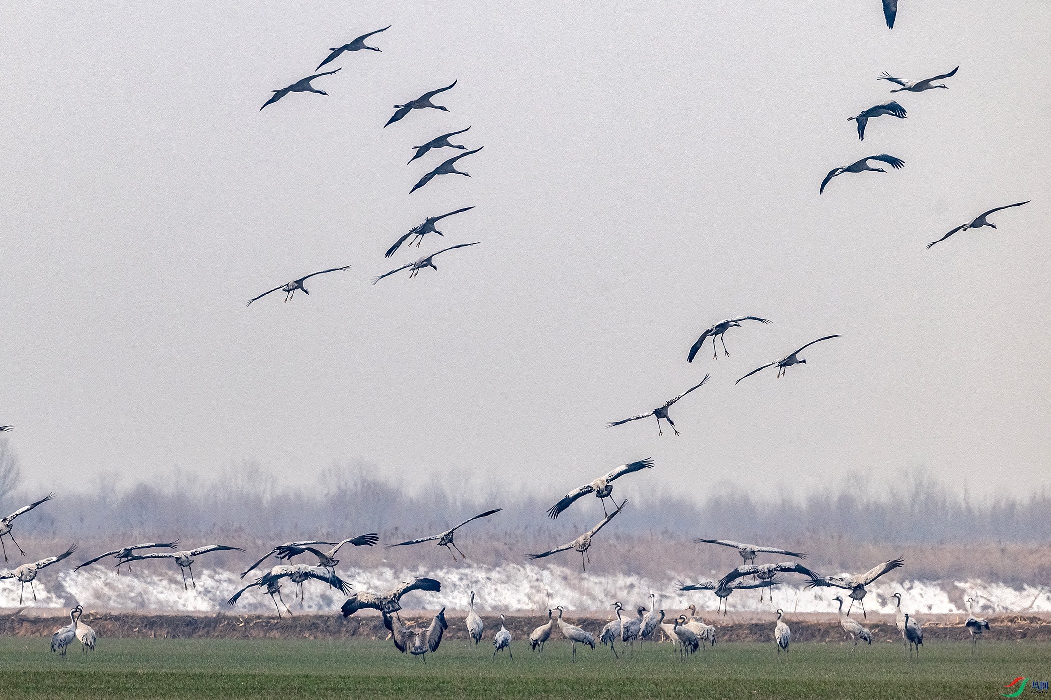 IMG_9144 ����.jpg