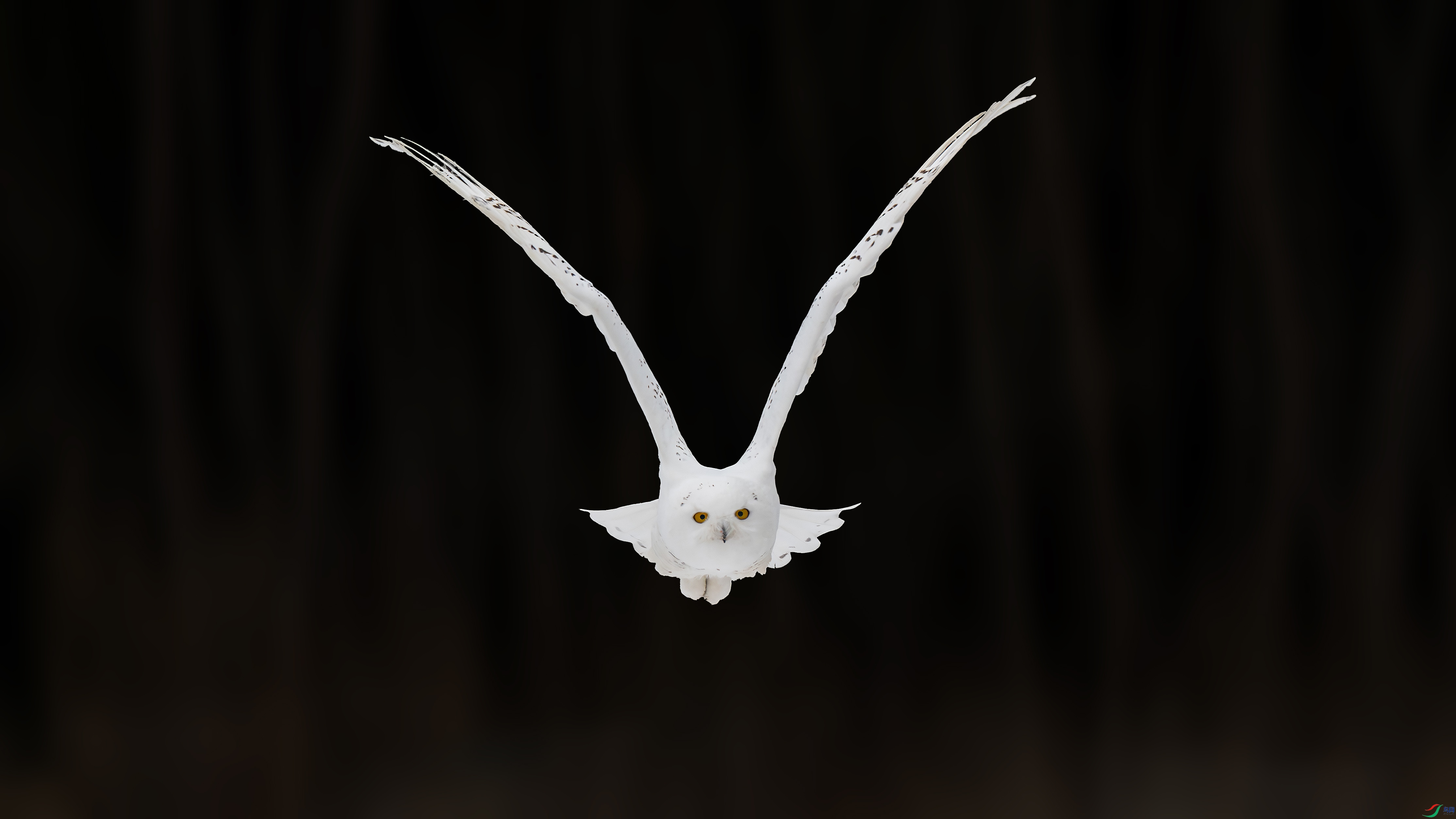 _DSC2094 ����xiao.jpg