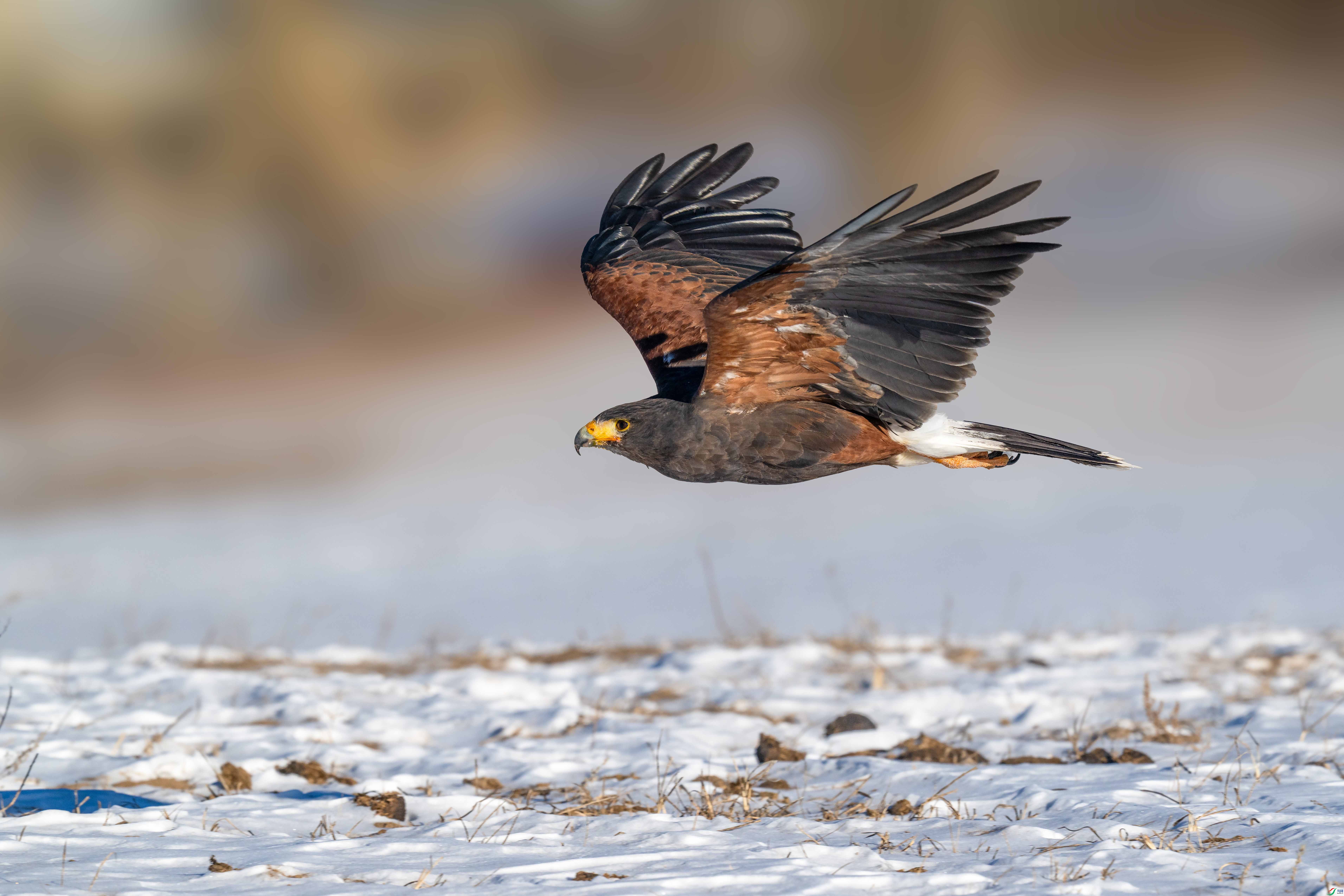 _DSC7343 ����С.jpg