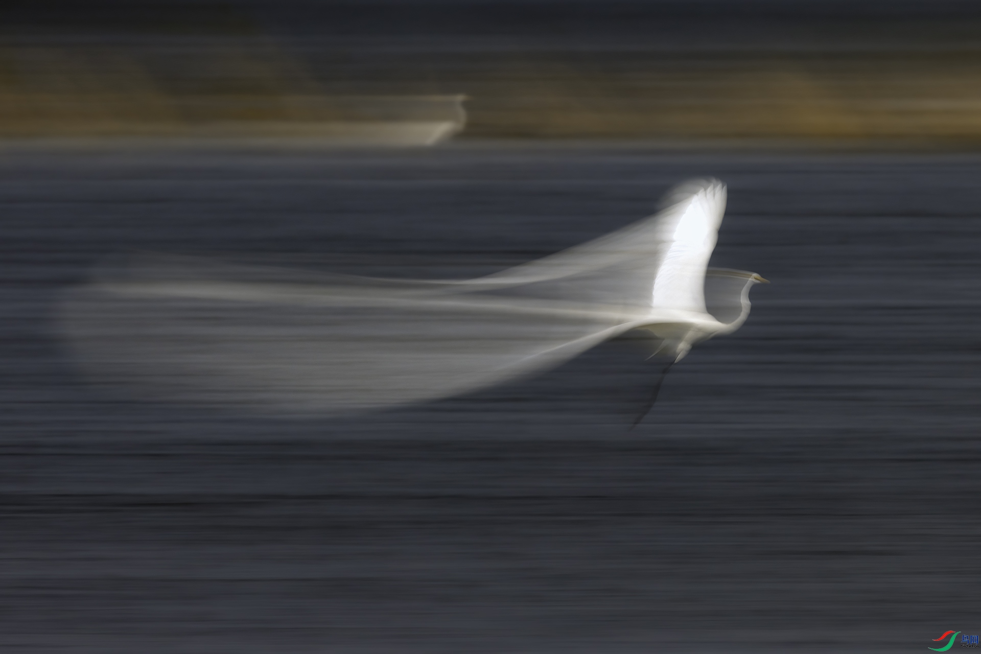 _L3A7462-1.jpg