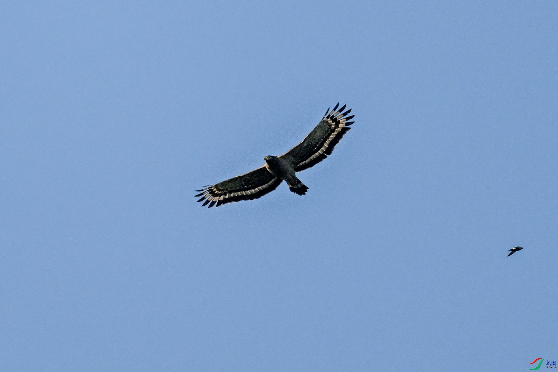 DSC_6177.JPG