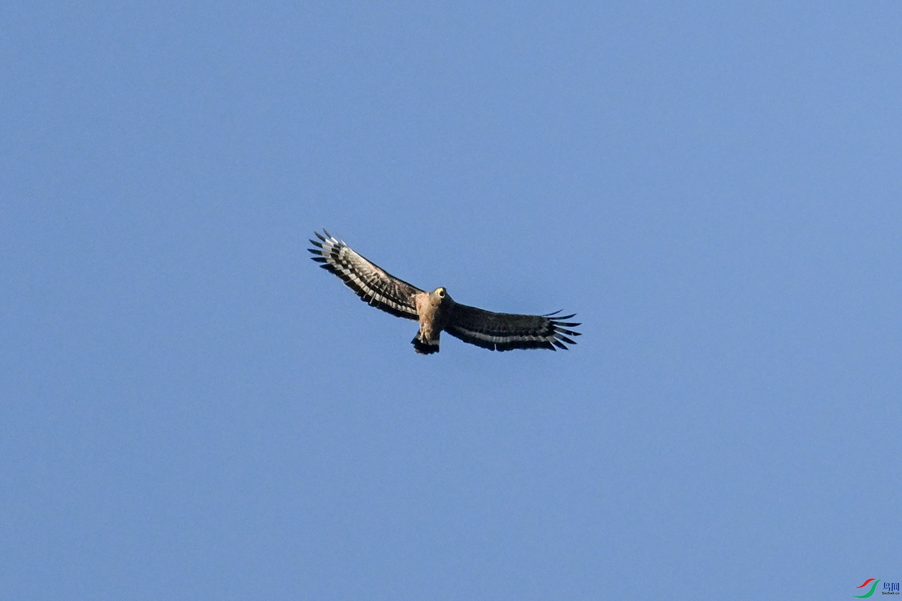 DSC_6195.JPG
