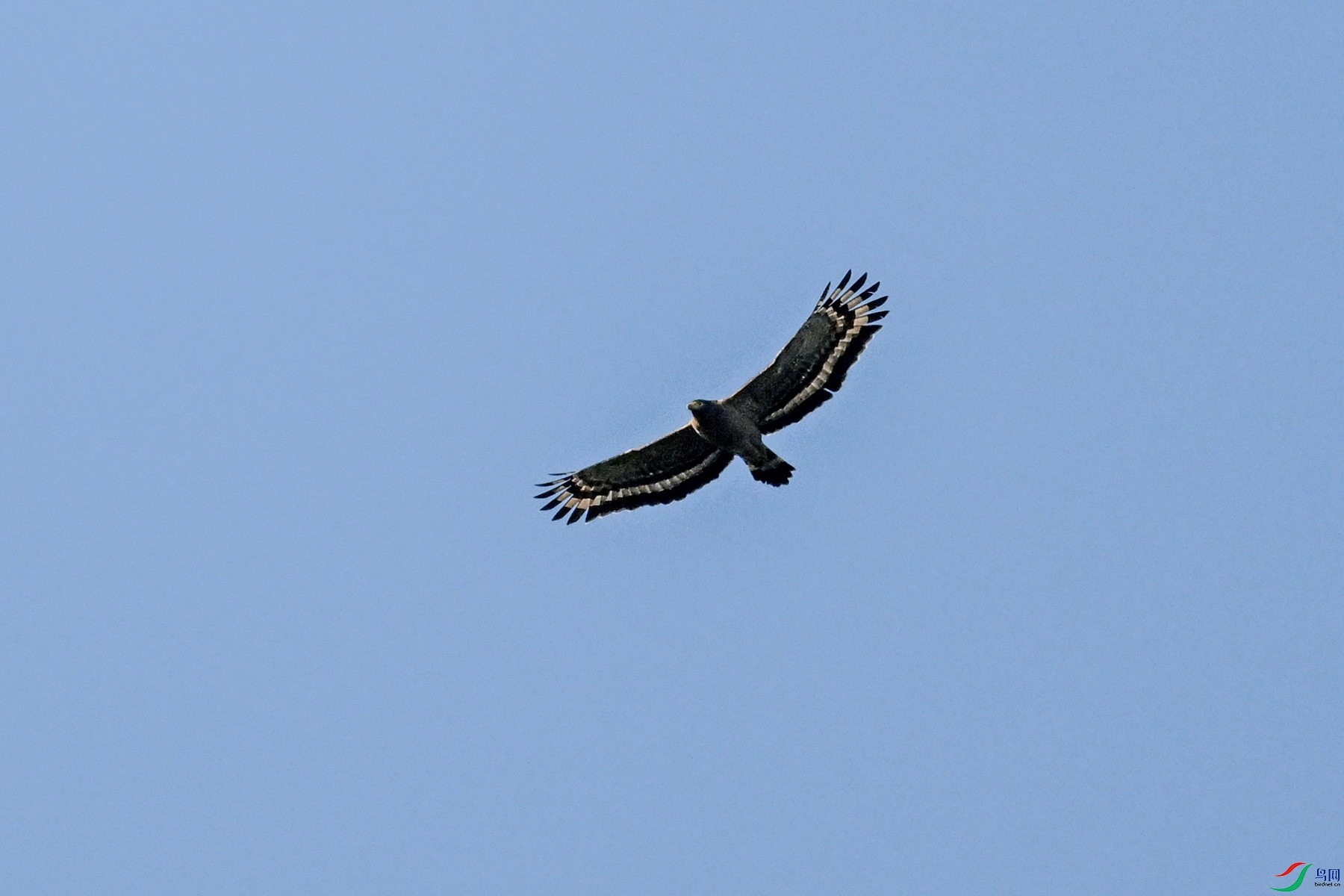 DSC_6179.JPG