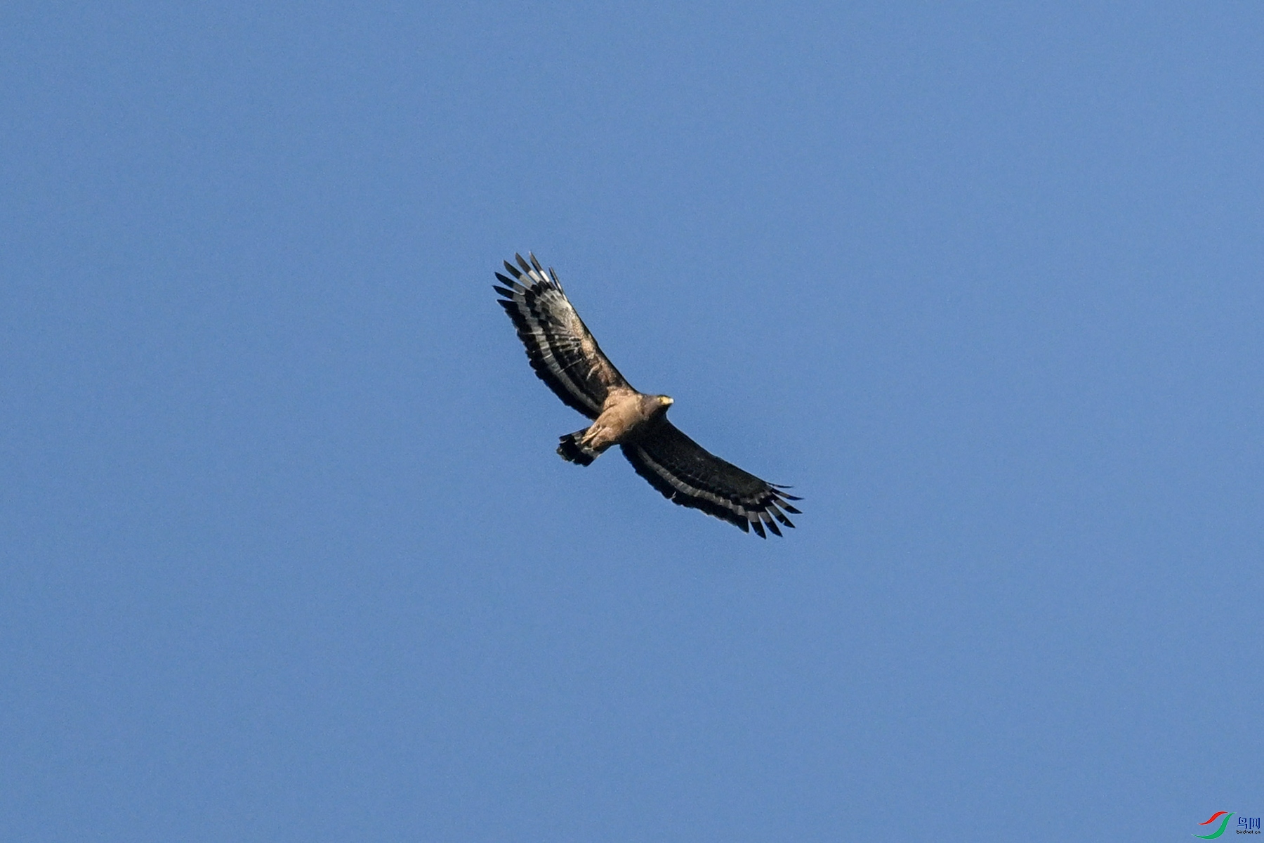 DSC_6203.JPG