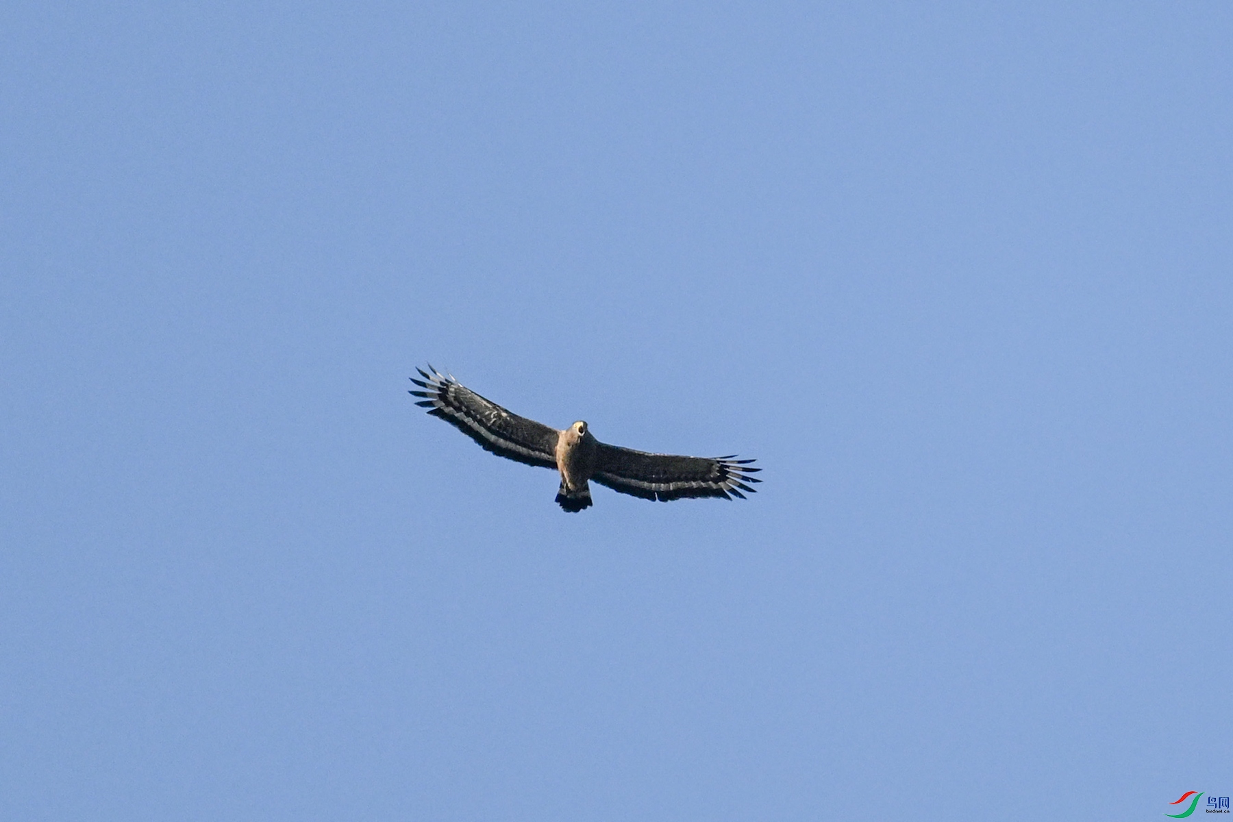 DSC_6192.JPG