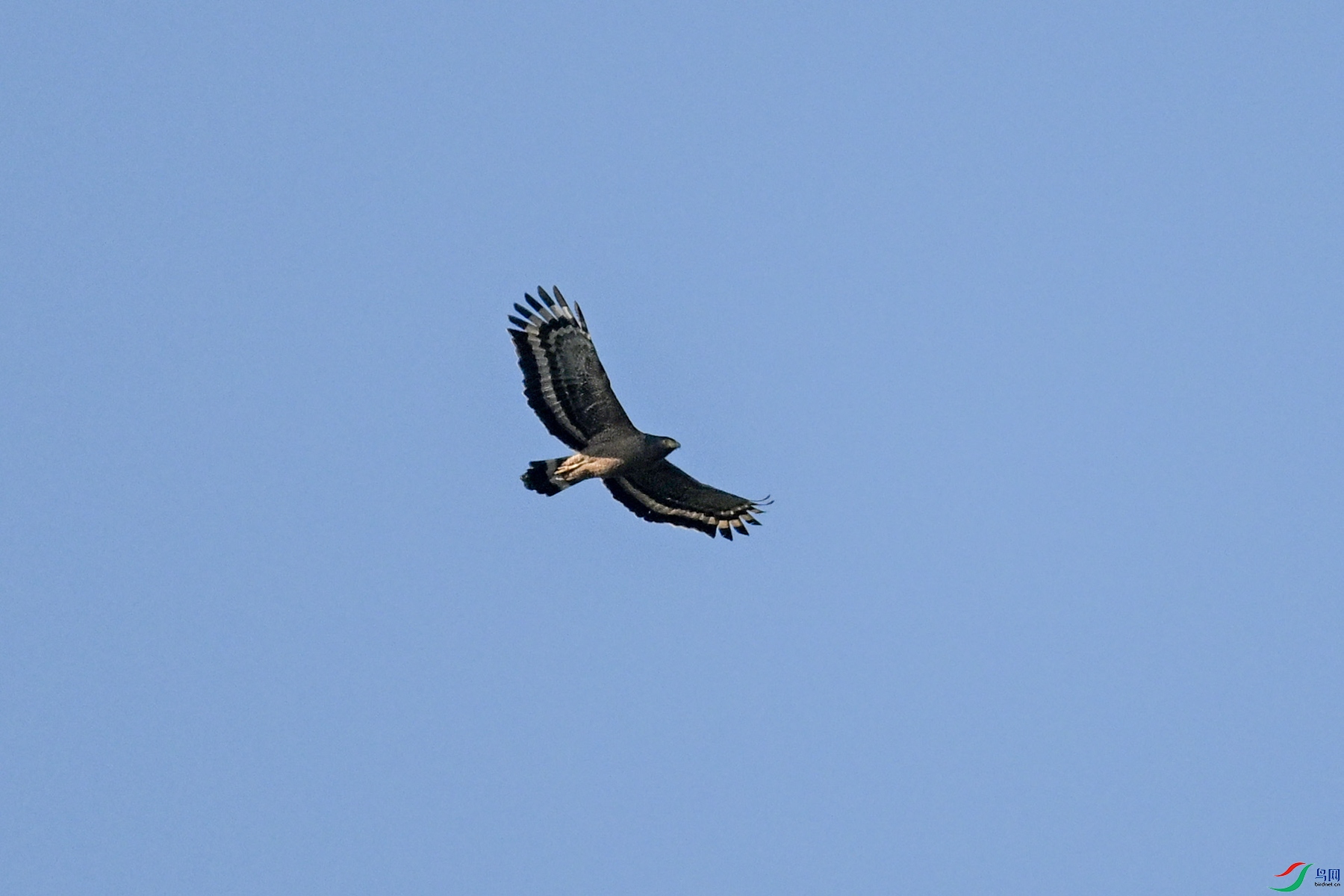 DSC_6209.JPG