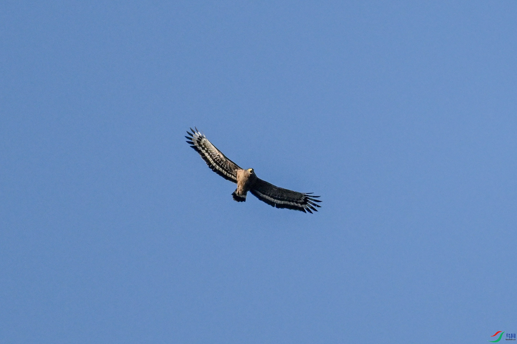 DSC_6194.JPG