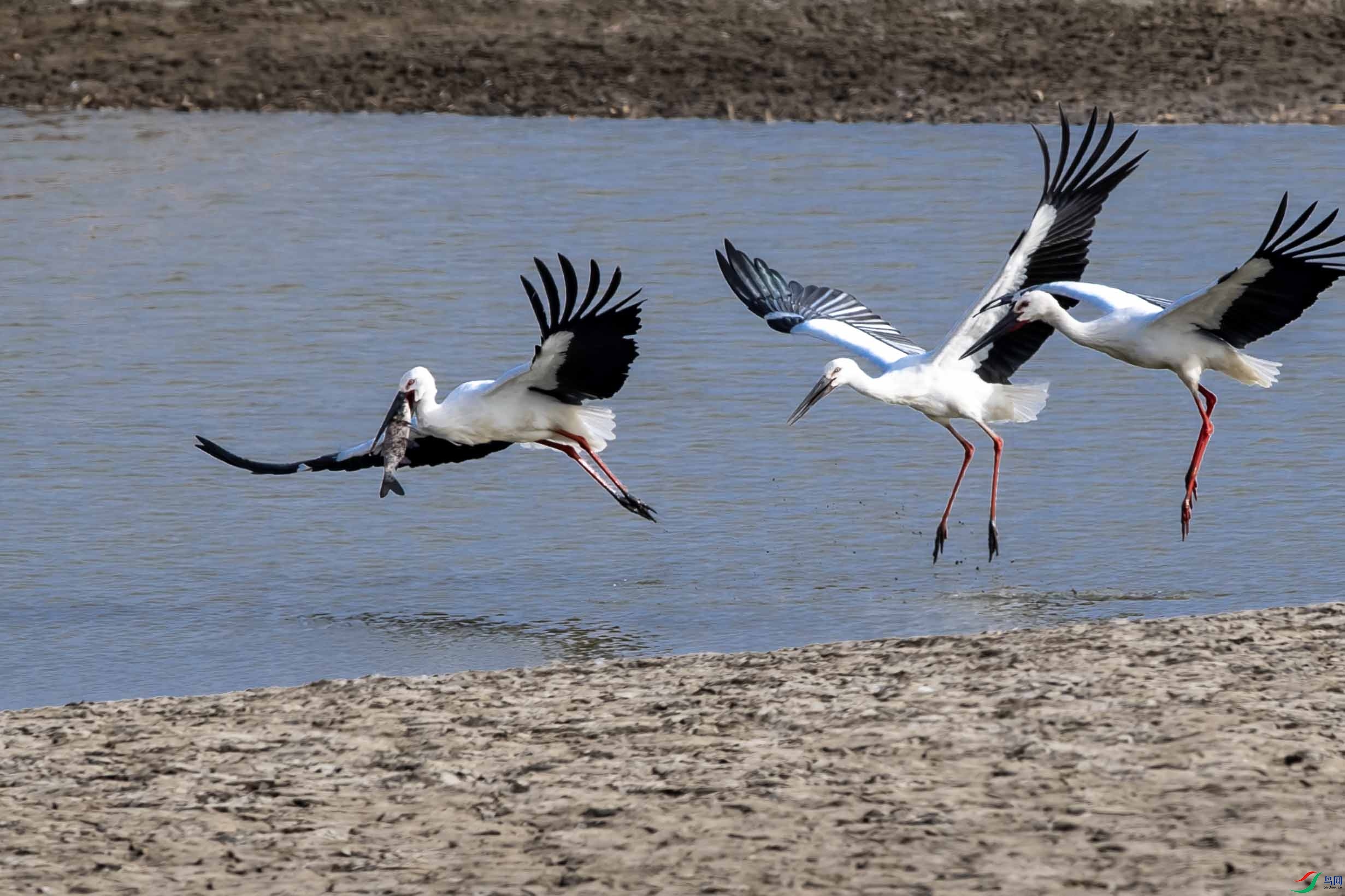 _LYF9459 ����.jpg