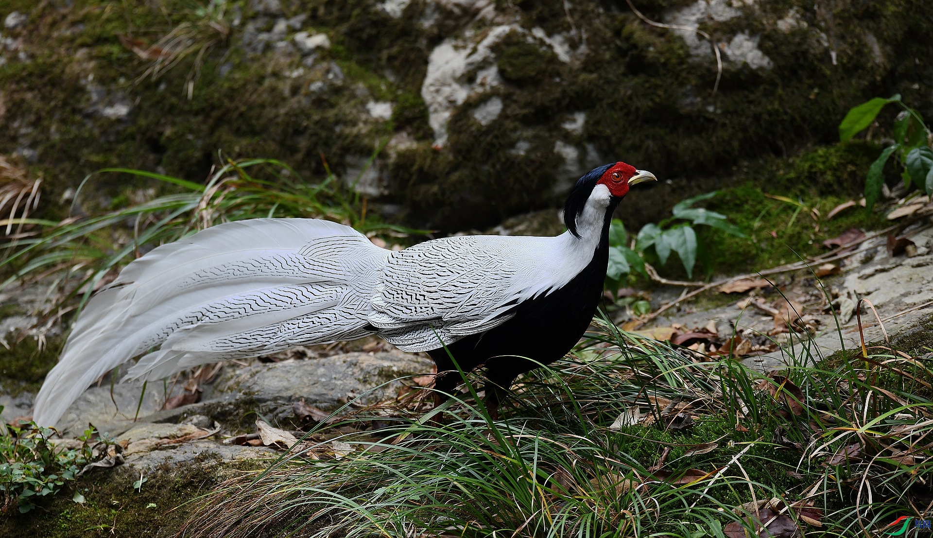 DSC_0399.jpg