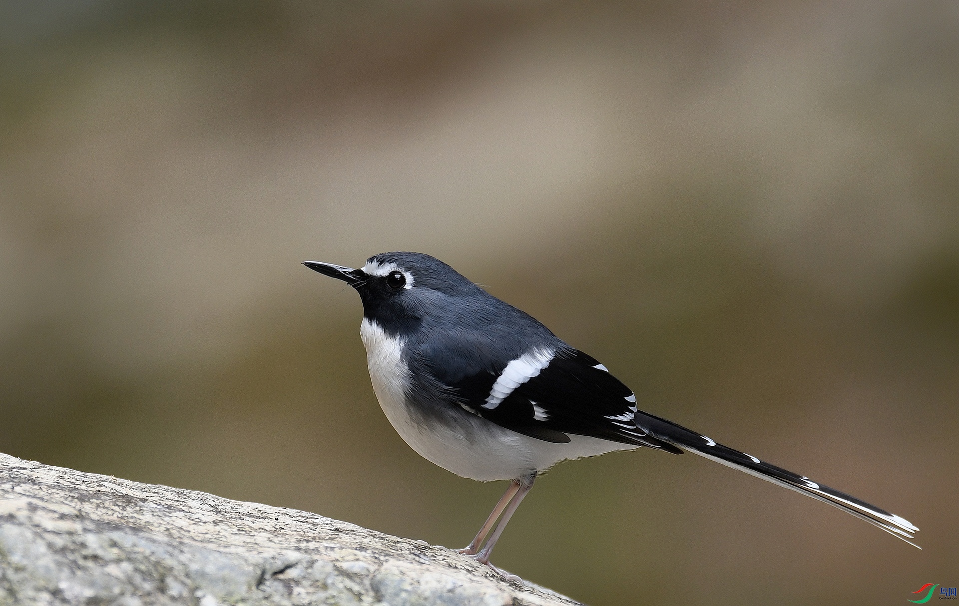 DSC_0428.jpg