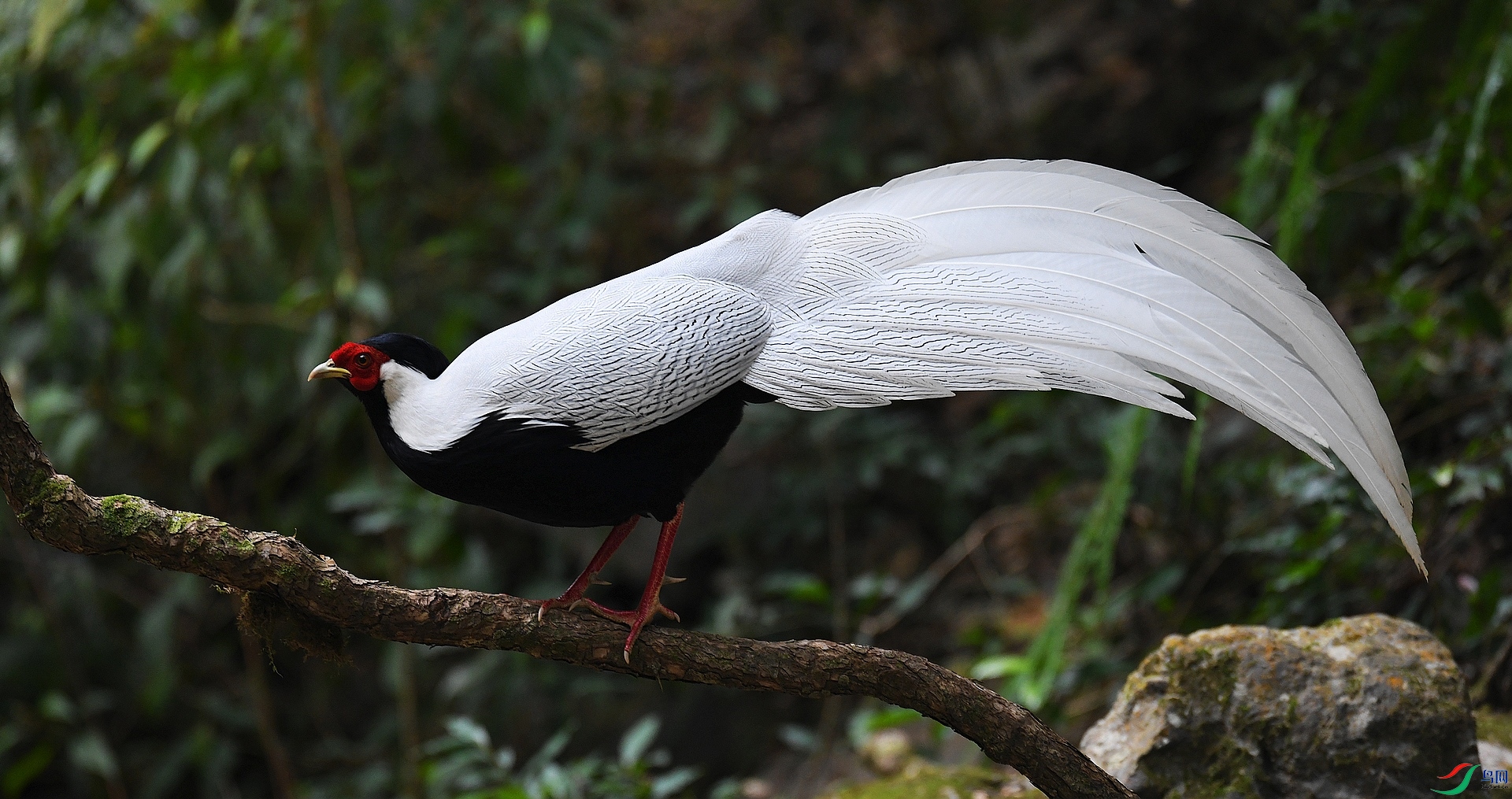 DSC_0534.jpg