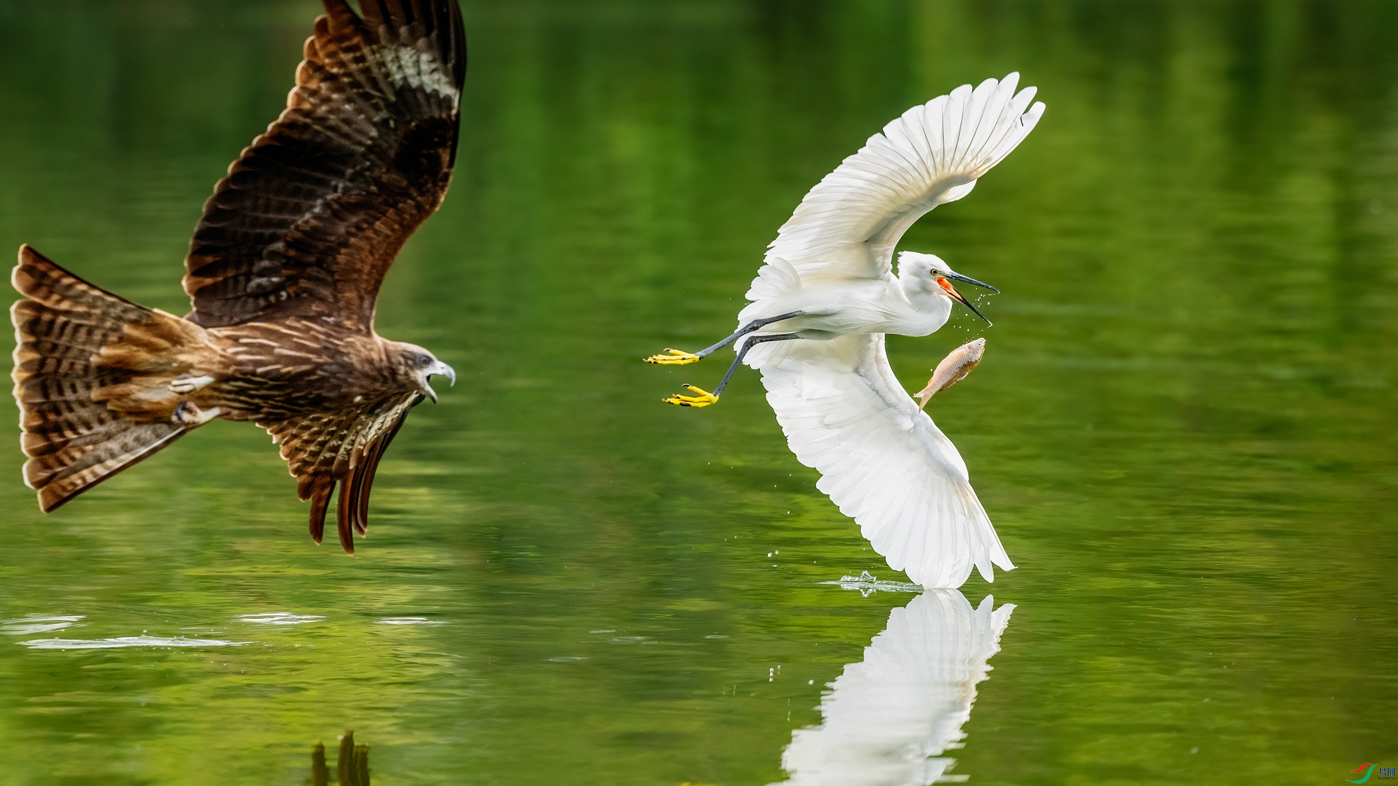 �ػ���׹0B5A0386.jpg