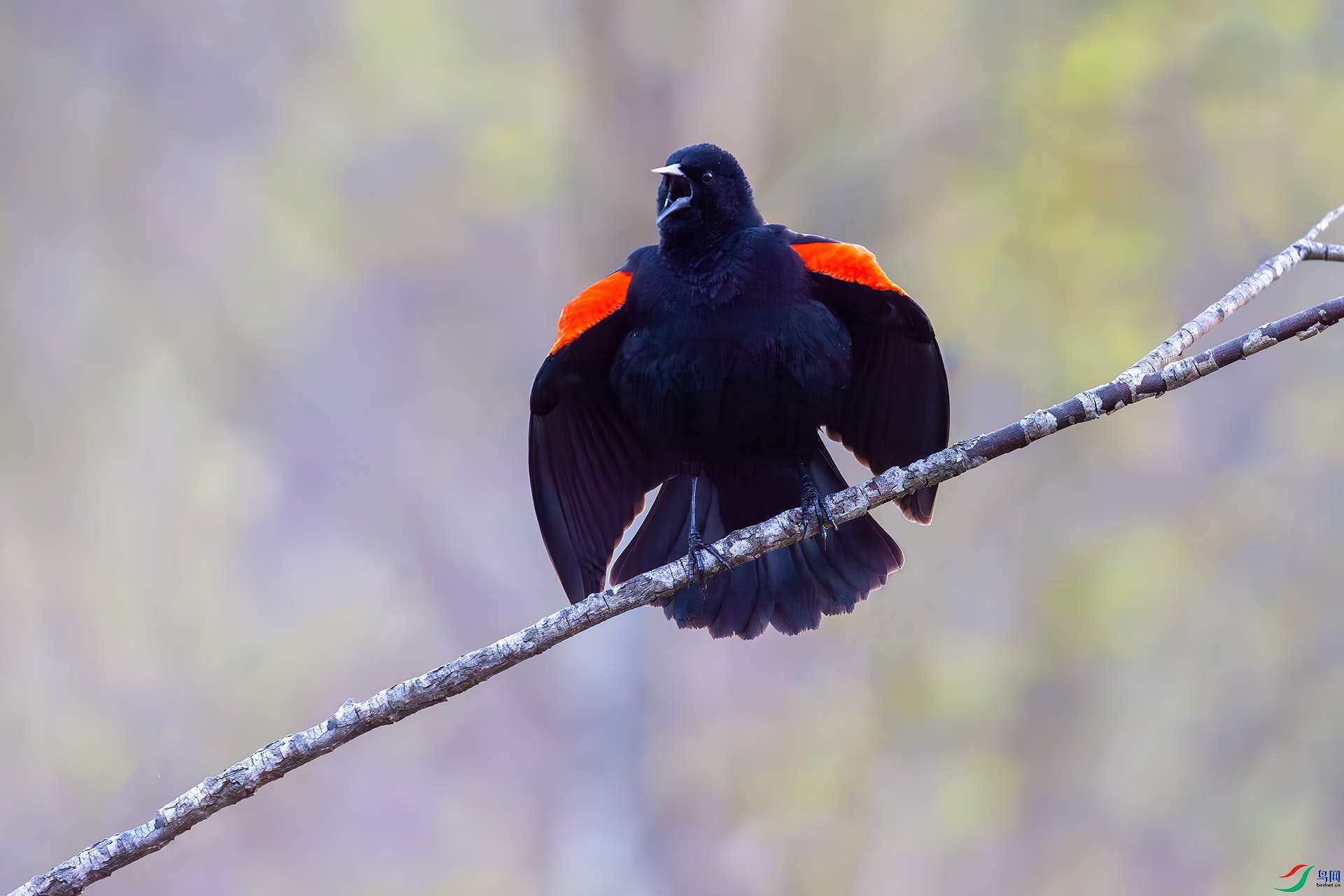 ����� 2.jpg