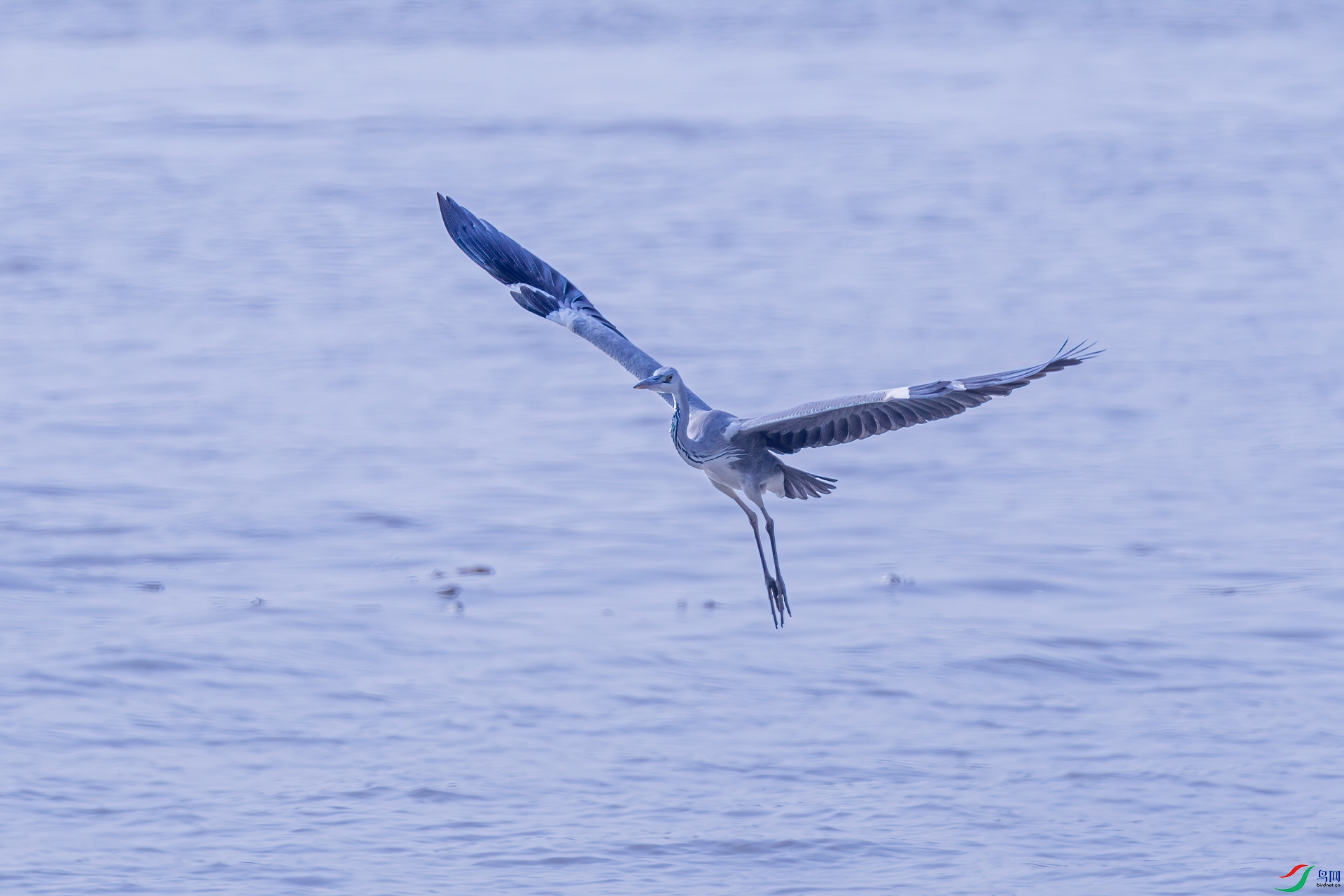 DSC_1353-11.jpg