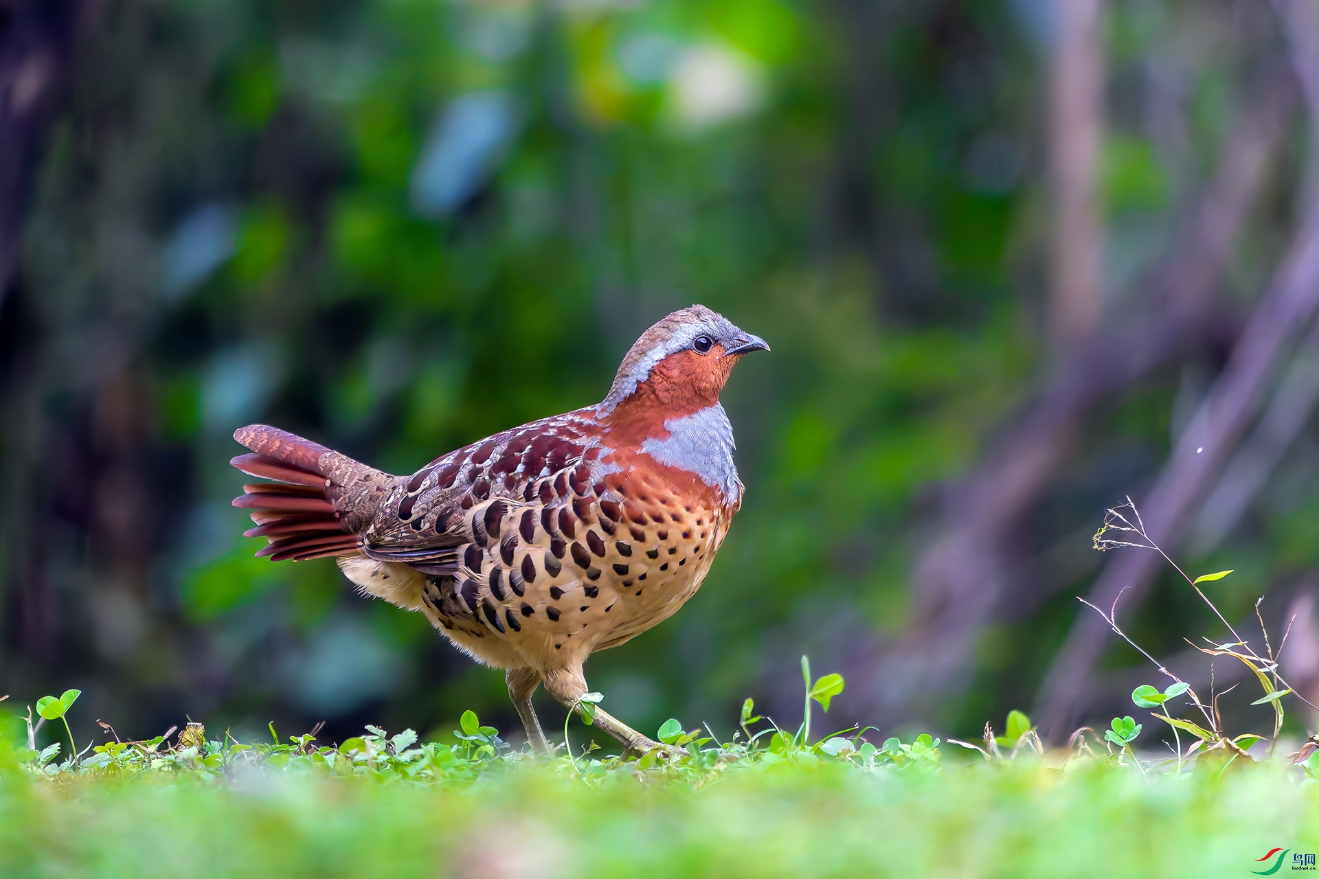 20251123-DSC01174 ����.jpg