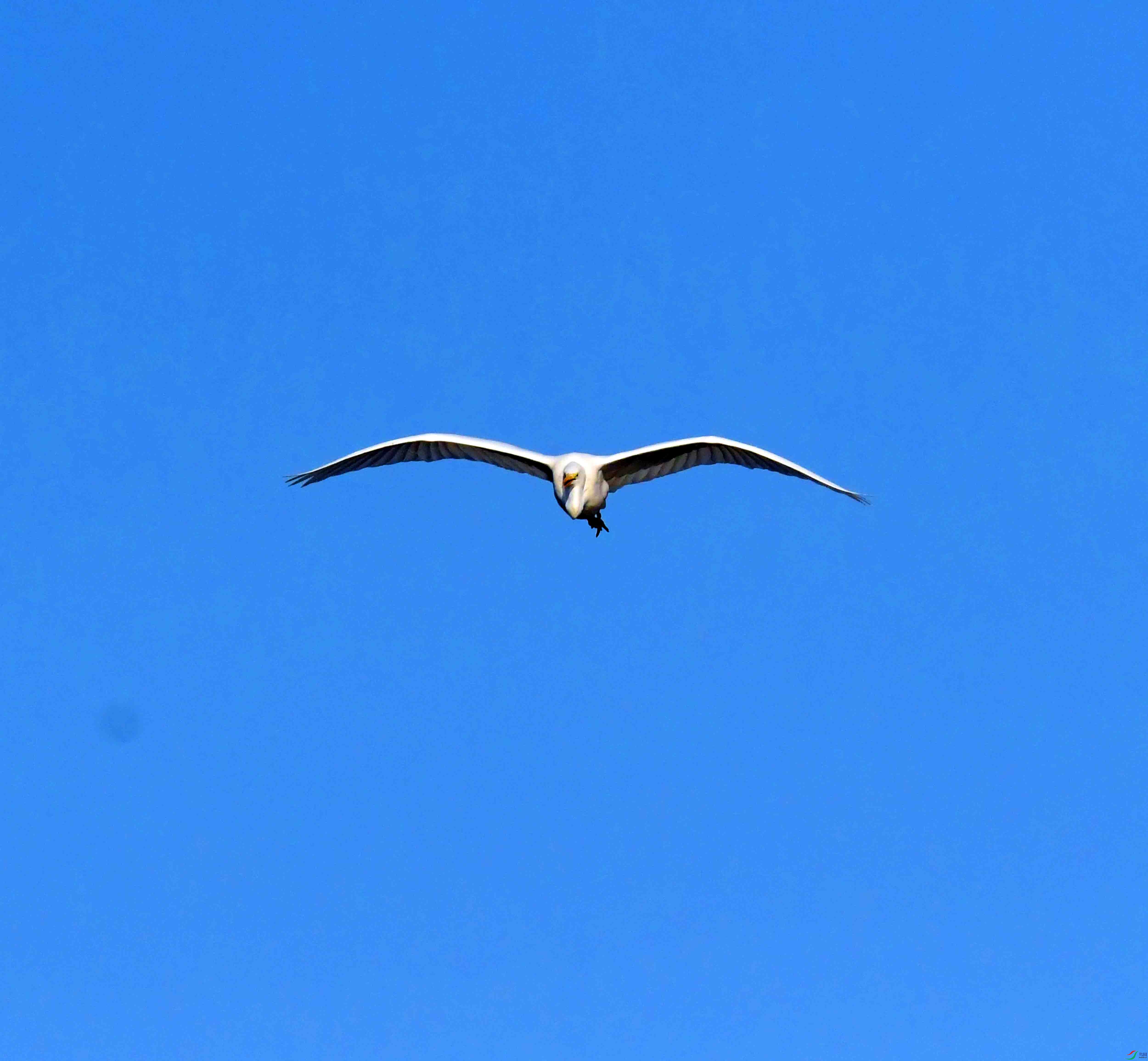 DSC_1857.JPG